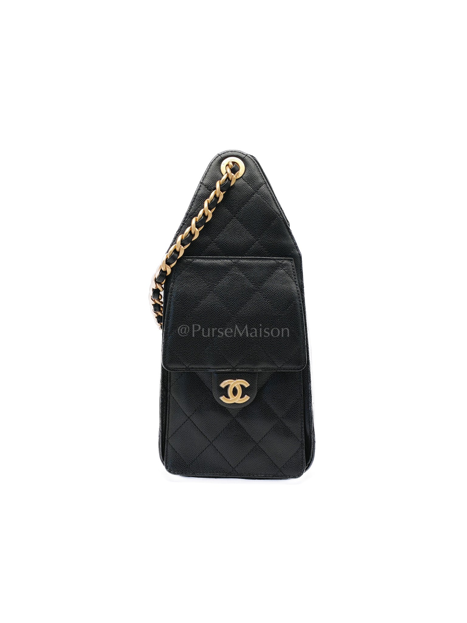 25 Small in Black Caviar Leather and Aged Gold Hardware (Microchip) | Purse Maison Luxury Bags Shop
