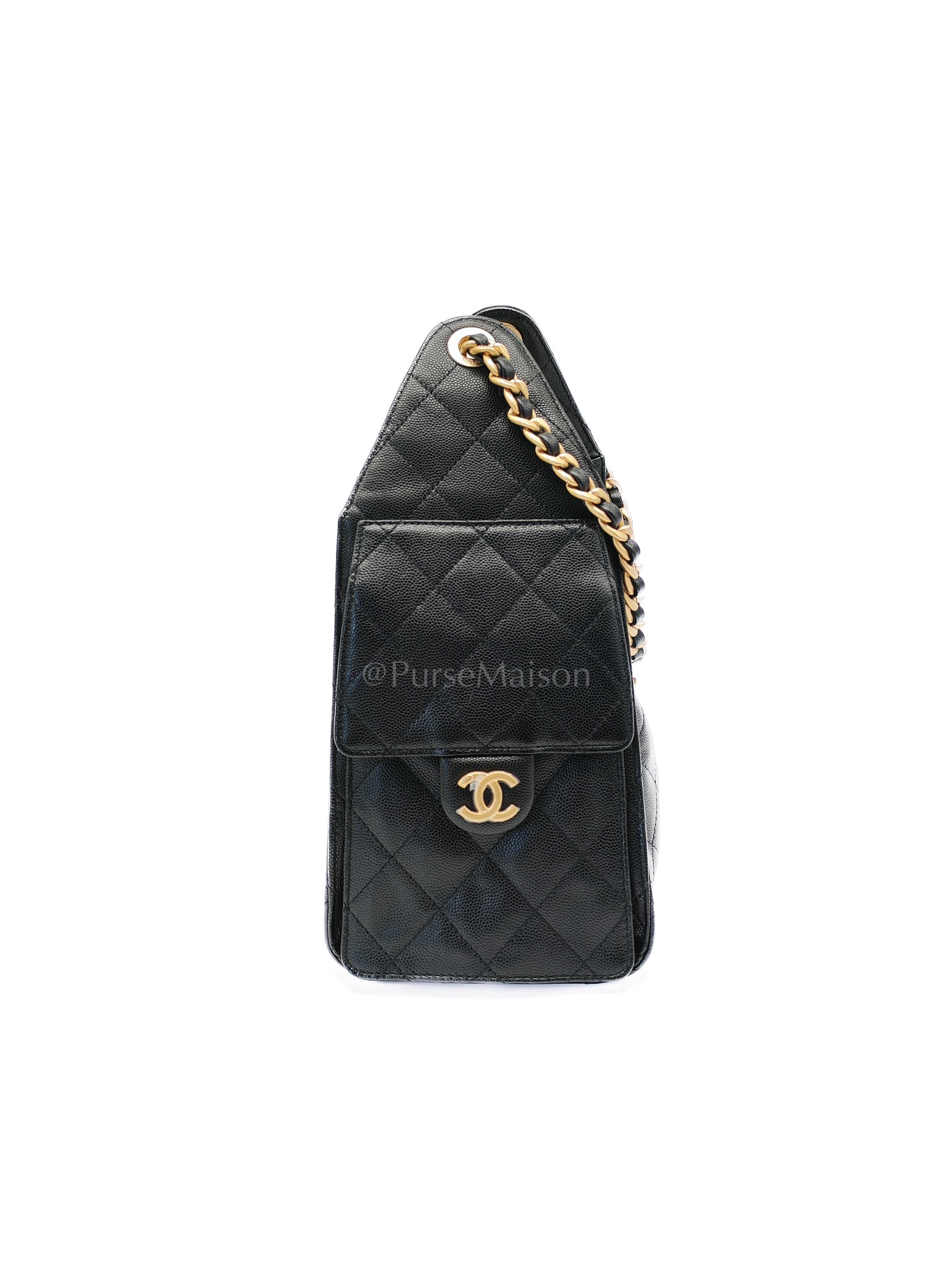 25 Small in Black Caviar Leather and Aged Gold Hardware (Microchip) | Purse Maison Luxury Bags Shop