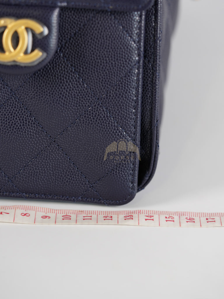 25 Small in Navy Blue Caviar Leather and Aged Gold Hardware (Microchip) | Purse Maison Luxury Bags Shop