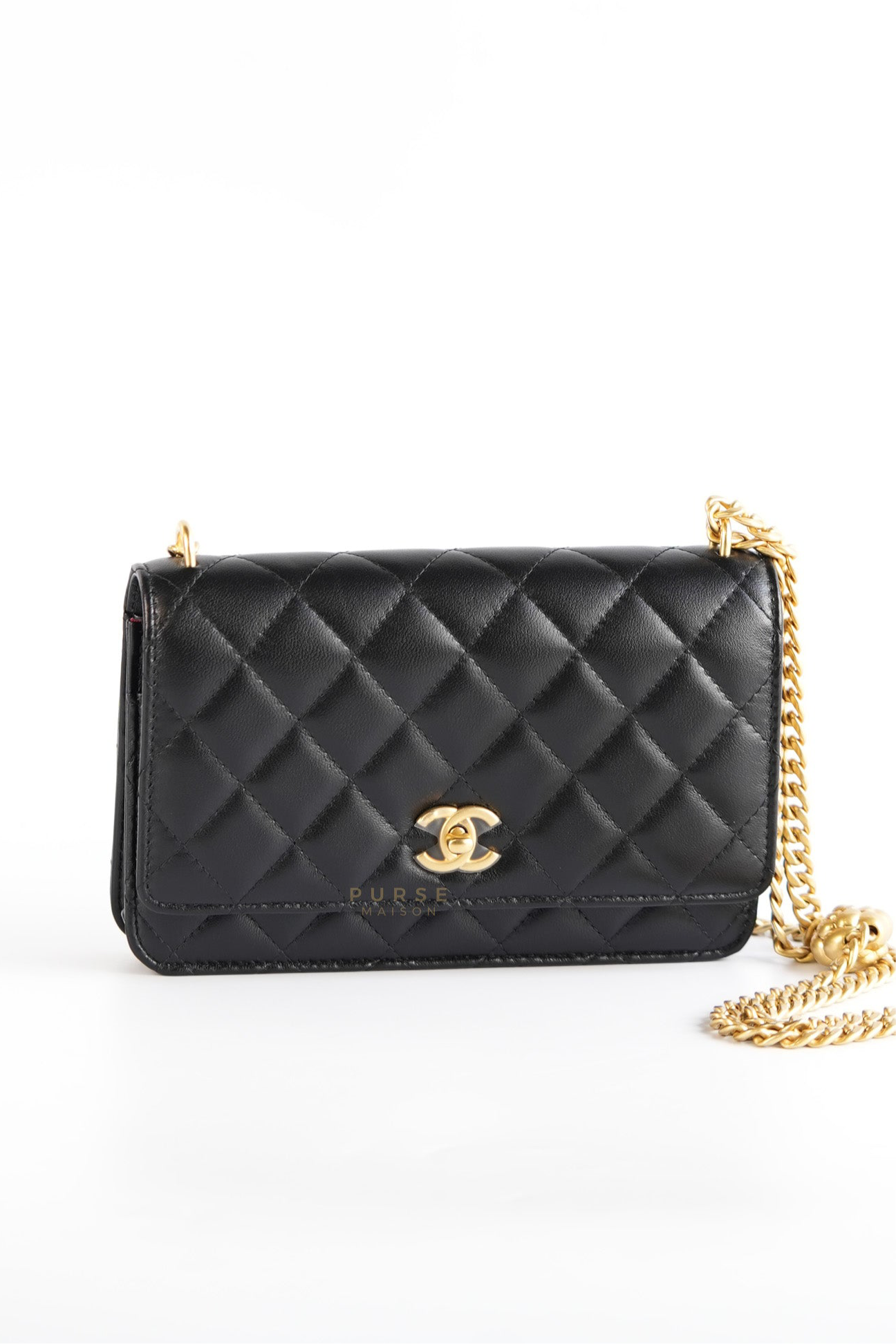 Wallet On Chain (WOC) in  Camelia Adjusting Buckle in Aged Gold Hardware (Microchip)