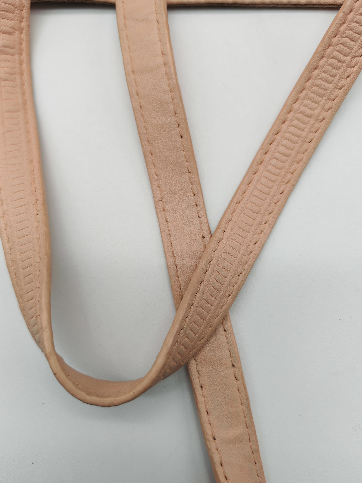 Bottega Veneta Intrecciolusion Tote Bag in Brownish Neutral Tone Nylon Canvas