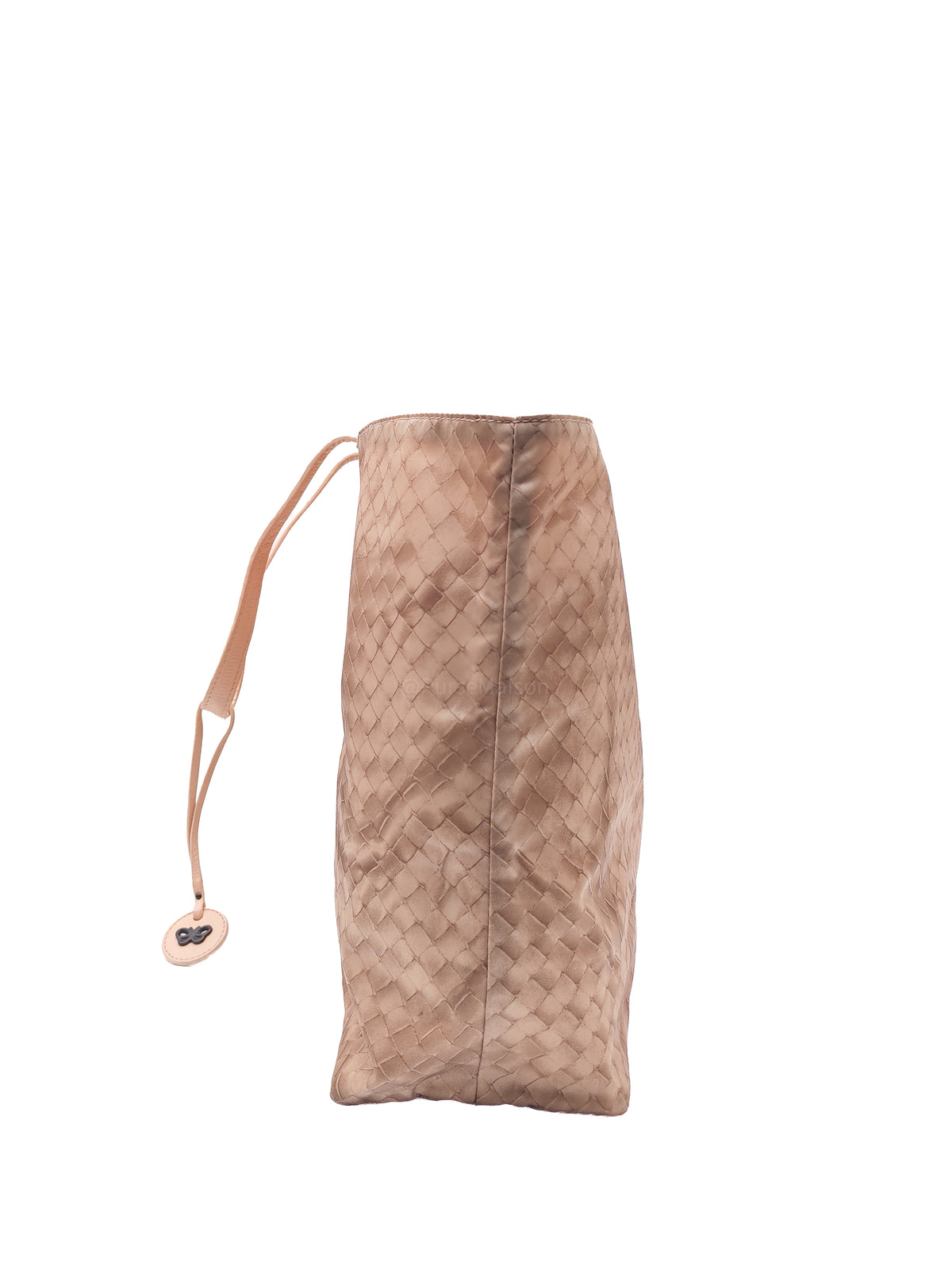 Bottega Veneta Intrecciolusion Tote Bag in Brownish Neutral Tone Nylon Canvas