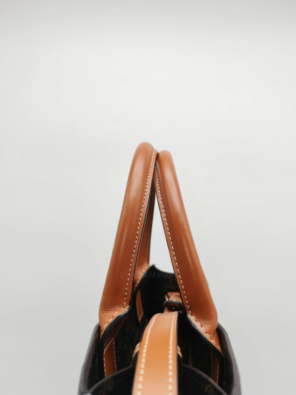 Celine Triomphe Canvas and Tan Calfskin Leather Small Vertical Cabas