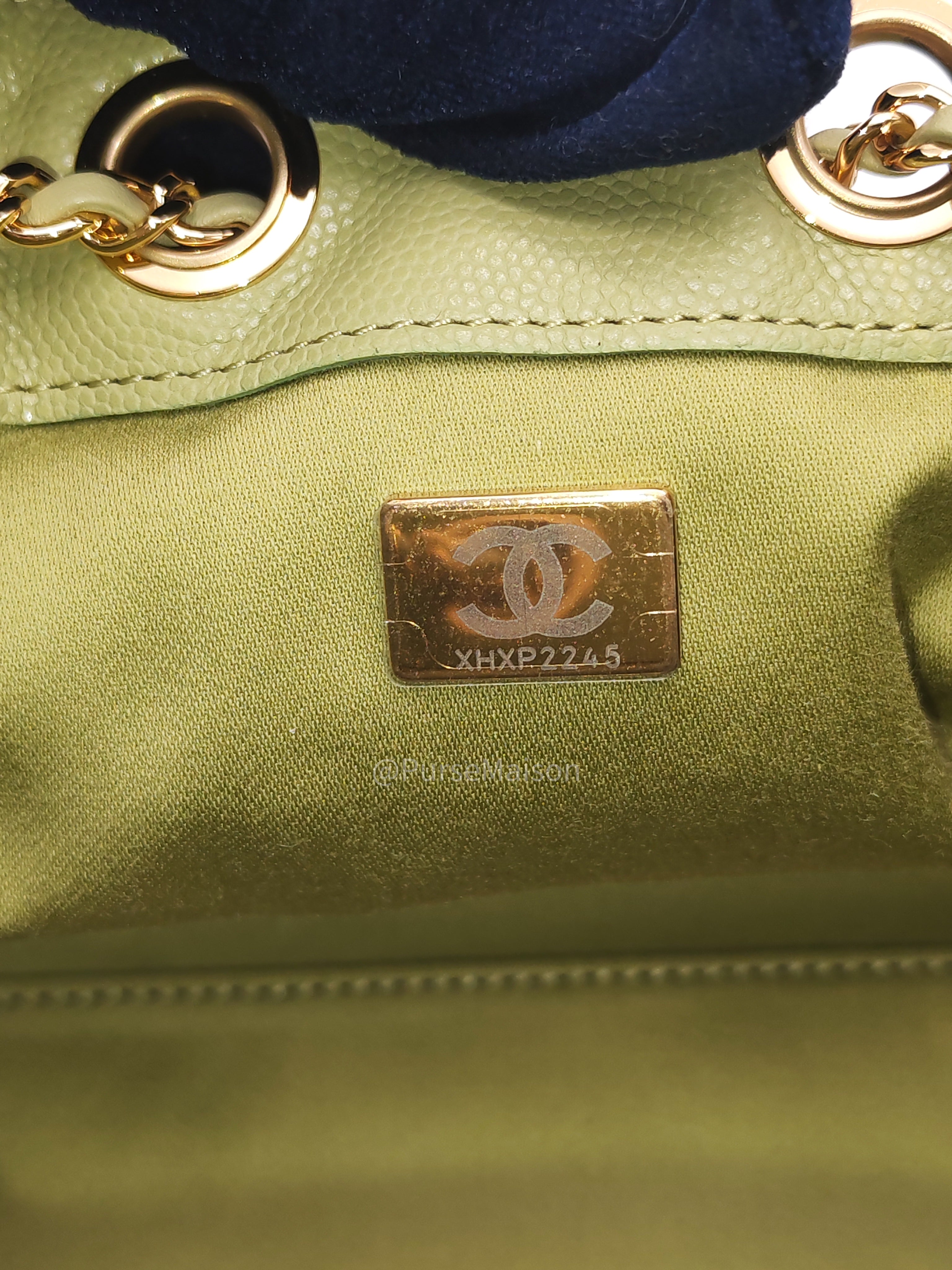 Chanel 25 Hobo Bag Mini in Light Green Caviar Leather Shiny Gold Hardware (Microchip)
