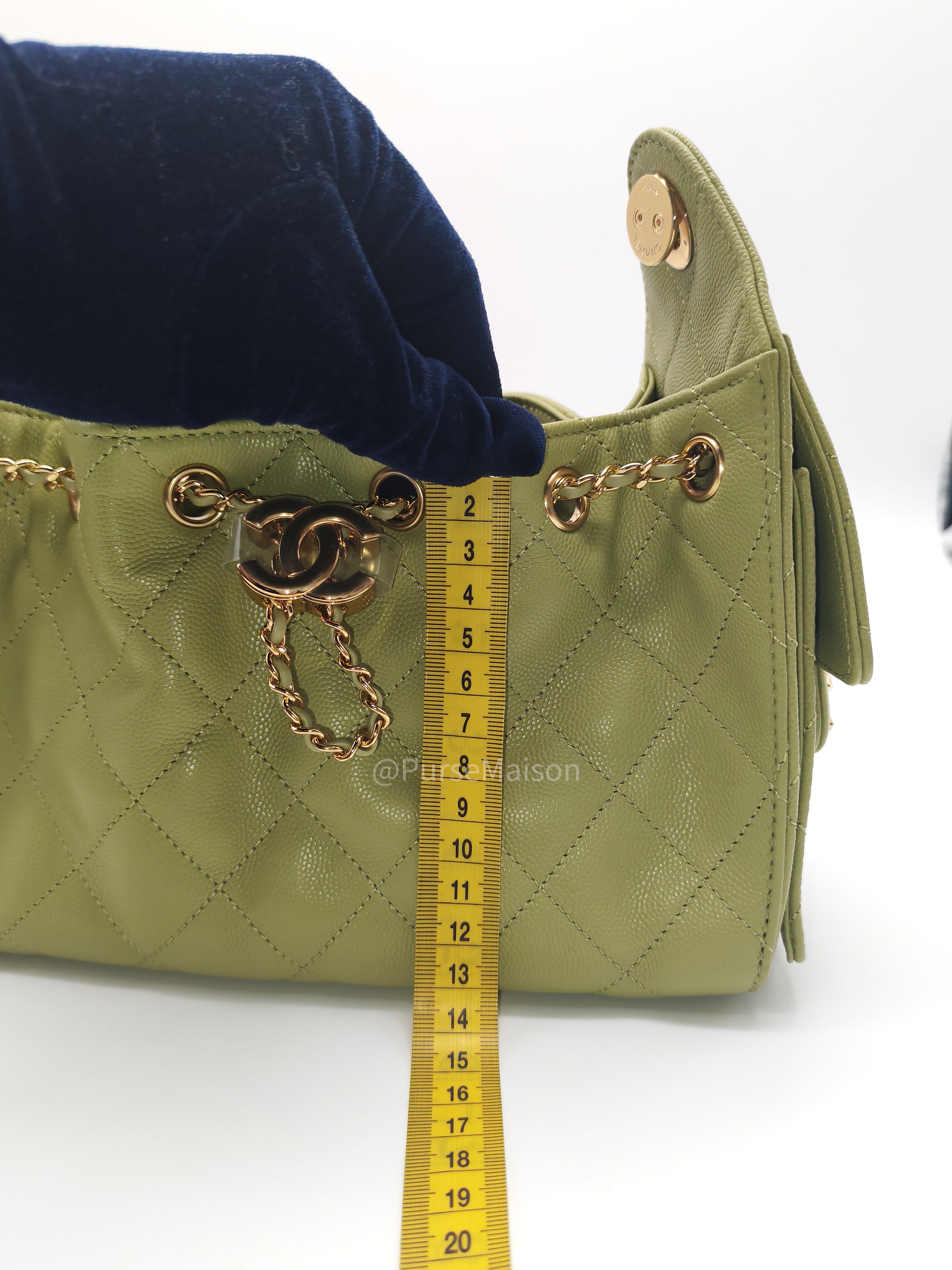 Chanel 25 Hobo Bag Mini in Light Green Caviar Leather Shiny Gold Hardware (Microchip)