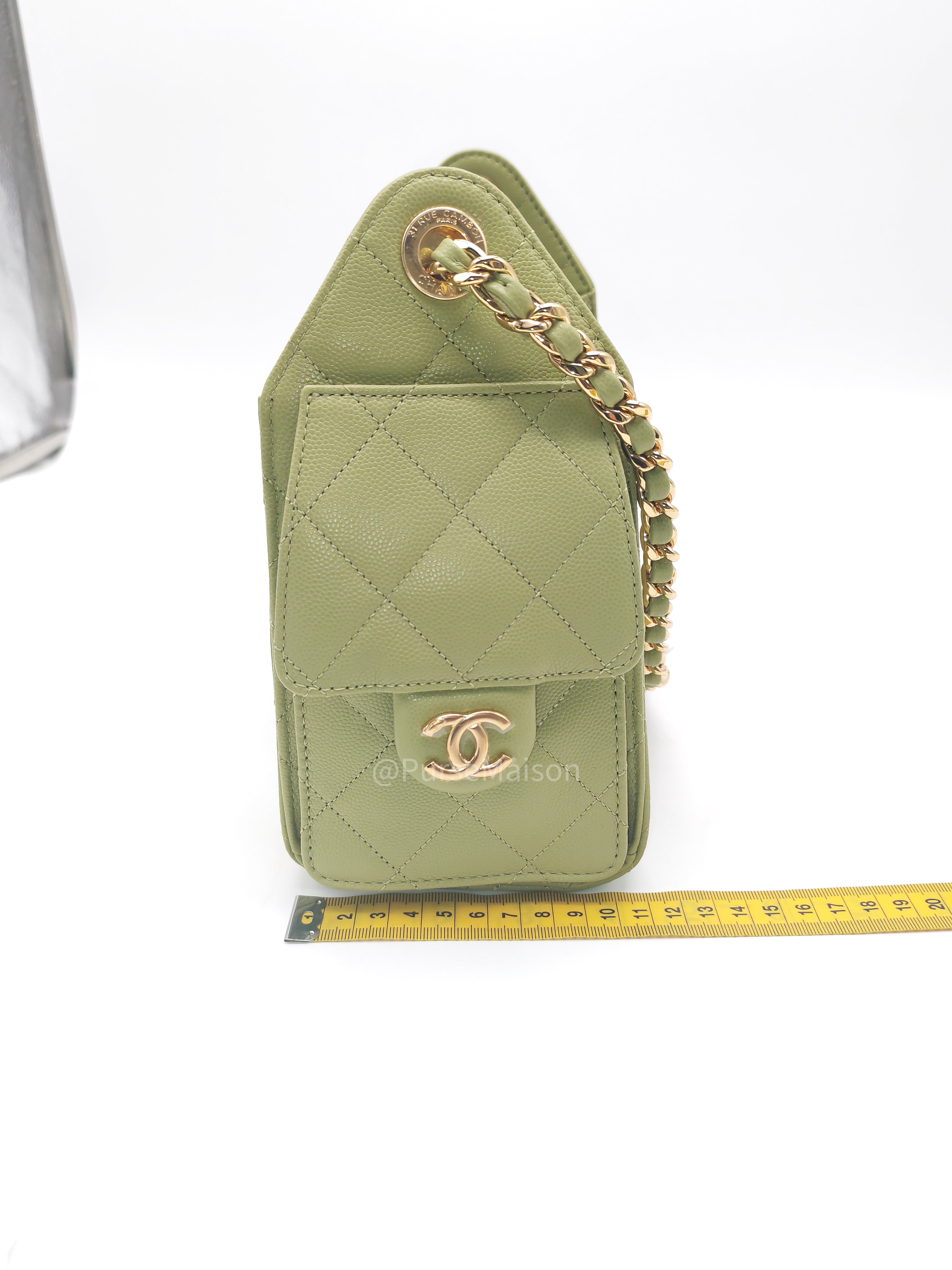 Chanel 25 Hobo Bag Mini in Light Green Caviar Leather Shiny Gold Hardware (Microchip)
