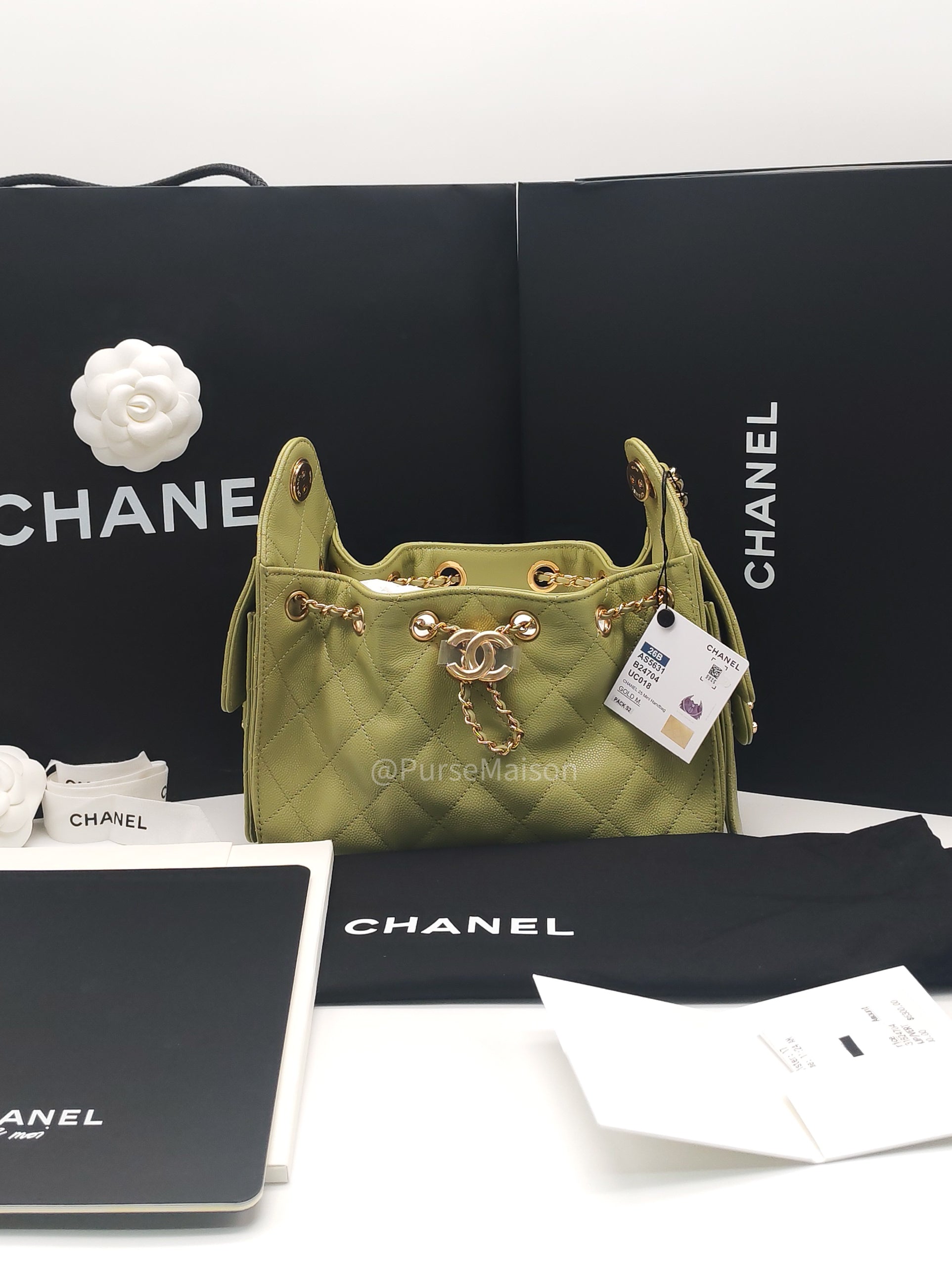 Chanel 25 Hobo Bag Mini in Light Green Caviar Leather Shiny Gold Hardware (Microchip)