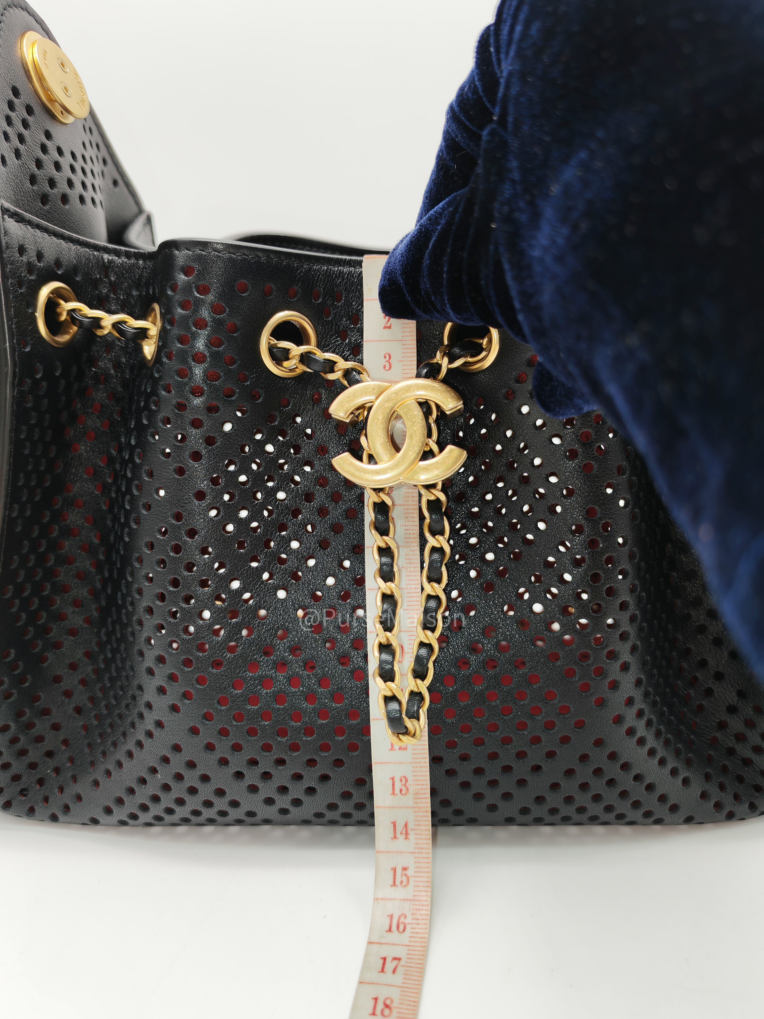 Chanel 25 Hobo Bag Mini in Black Perforated Calfskin Leather Aged Gold Hardware (Microchip)