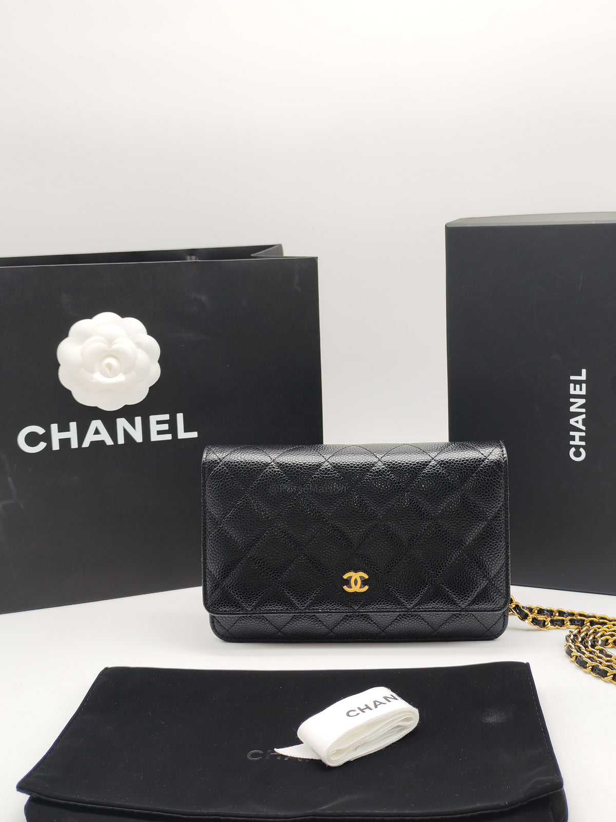 Chanel Classic Wallet on Chain (WOC) in Black Caviar Leather Gold Hardware Microchip(TG****E4)