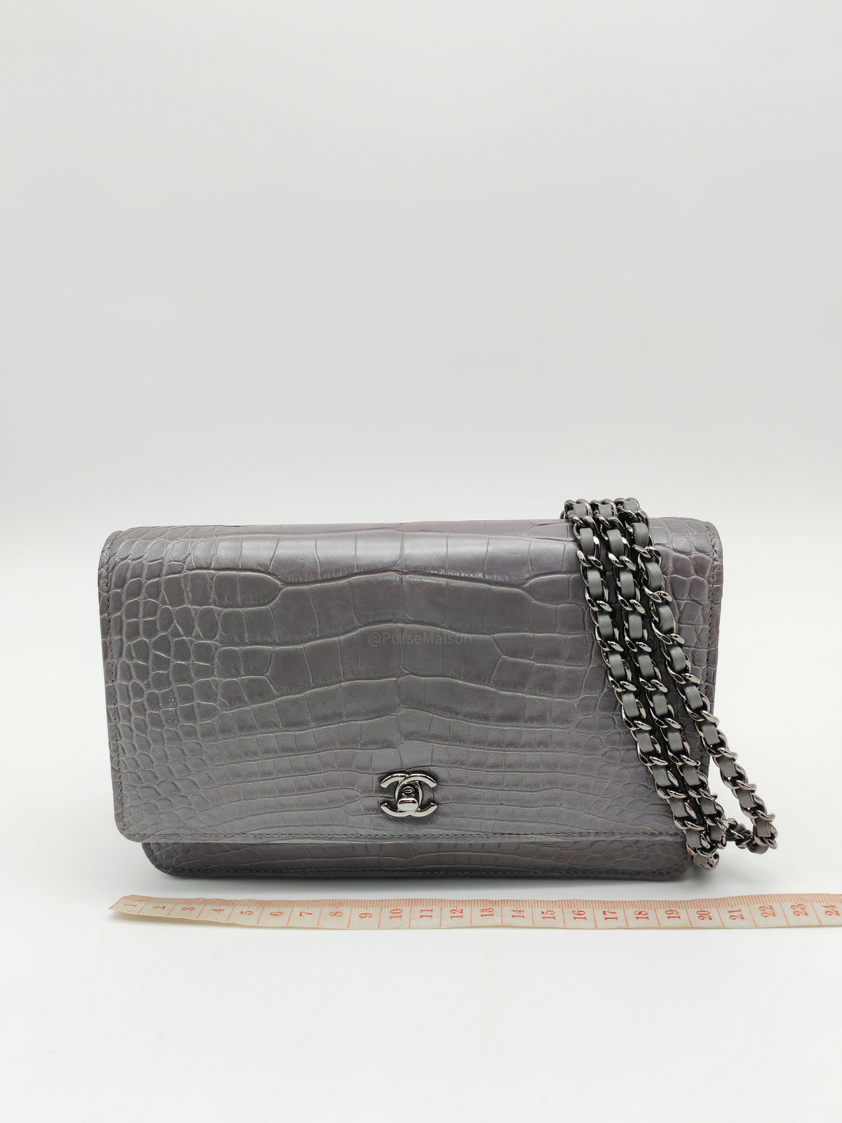 Chanel Classic Wallet on Chain (WOC) in Metallic Gray Alligator Leather and Silver Hardware Series 25