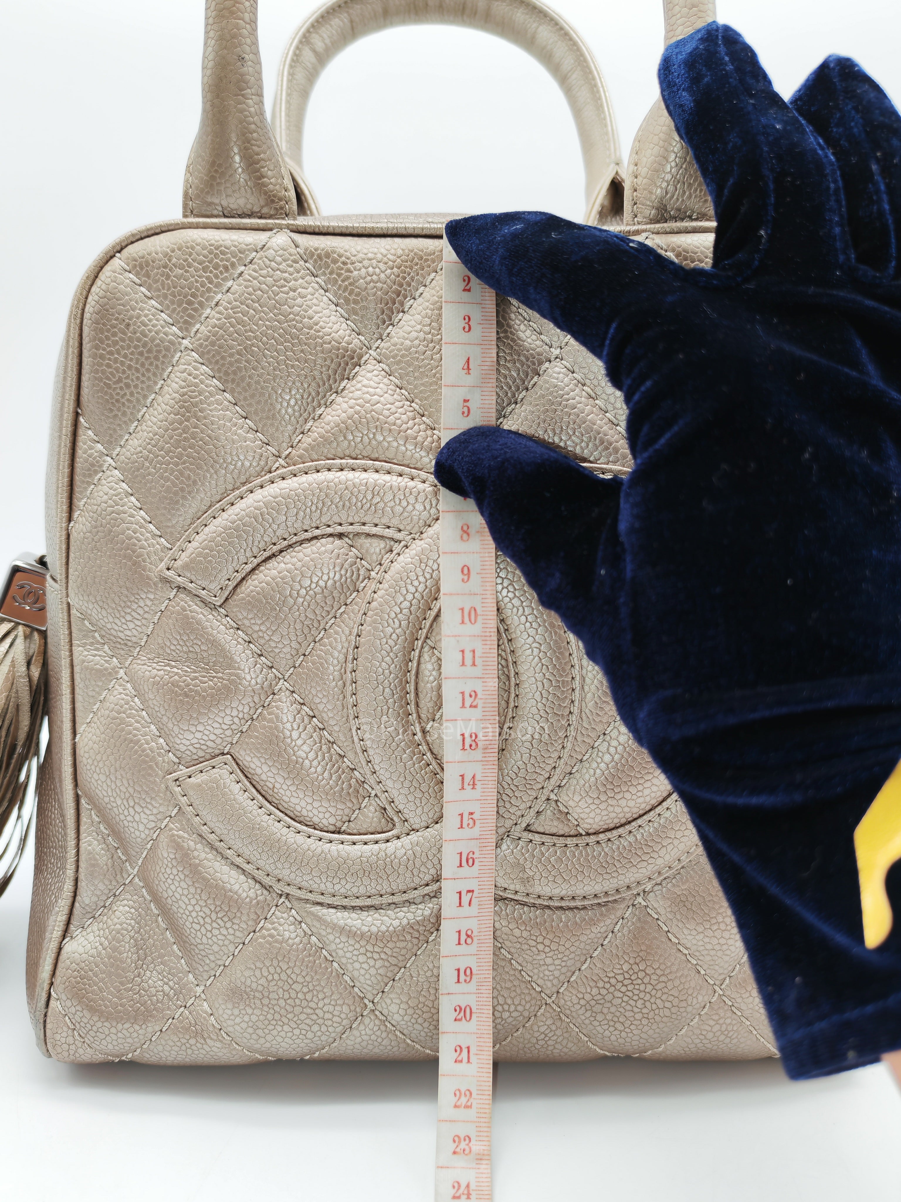 Chanel Tassel Top Handle Bag in Metallic Quilted Caviar Leather Silver Hardware (Series 9)