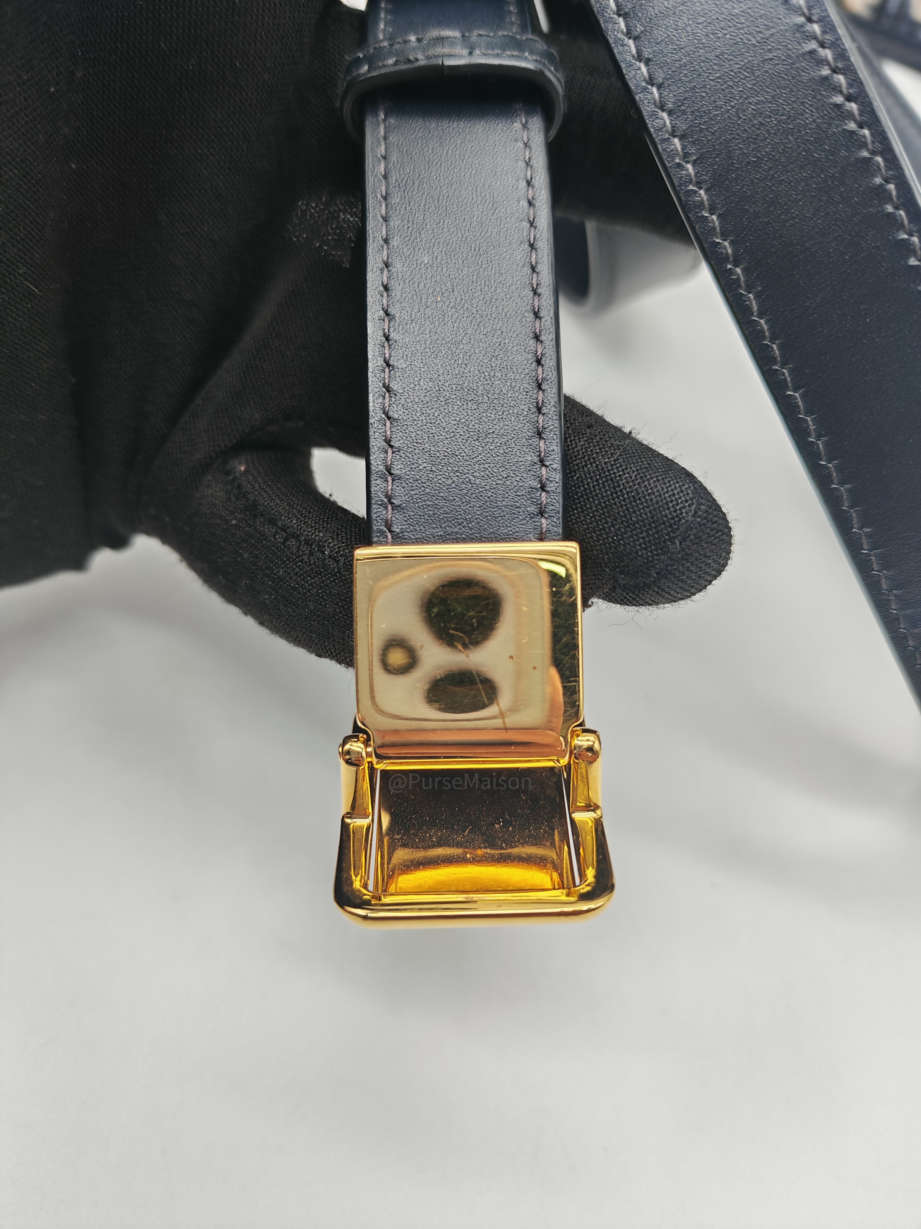 Christian Dior 30 Montaigne Bag in BLue Dior Oblique Jacquard Canvas and Gold Hardware