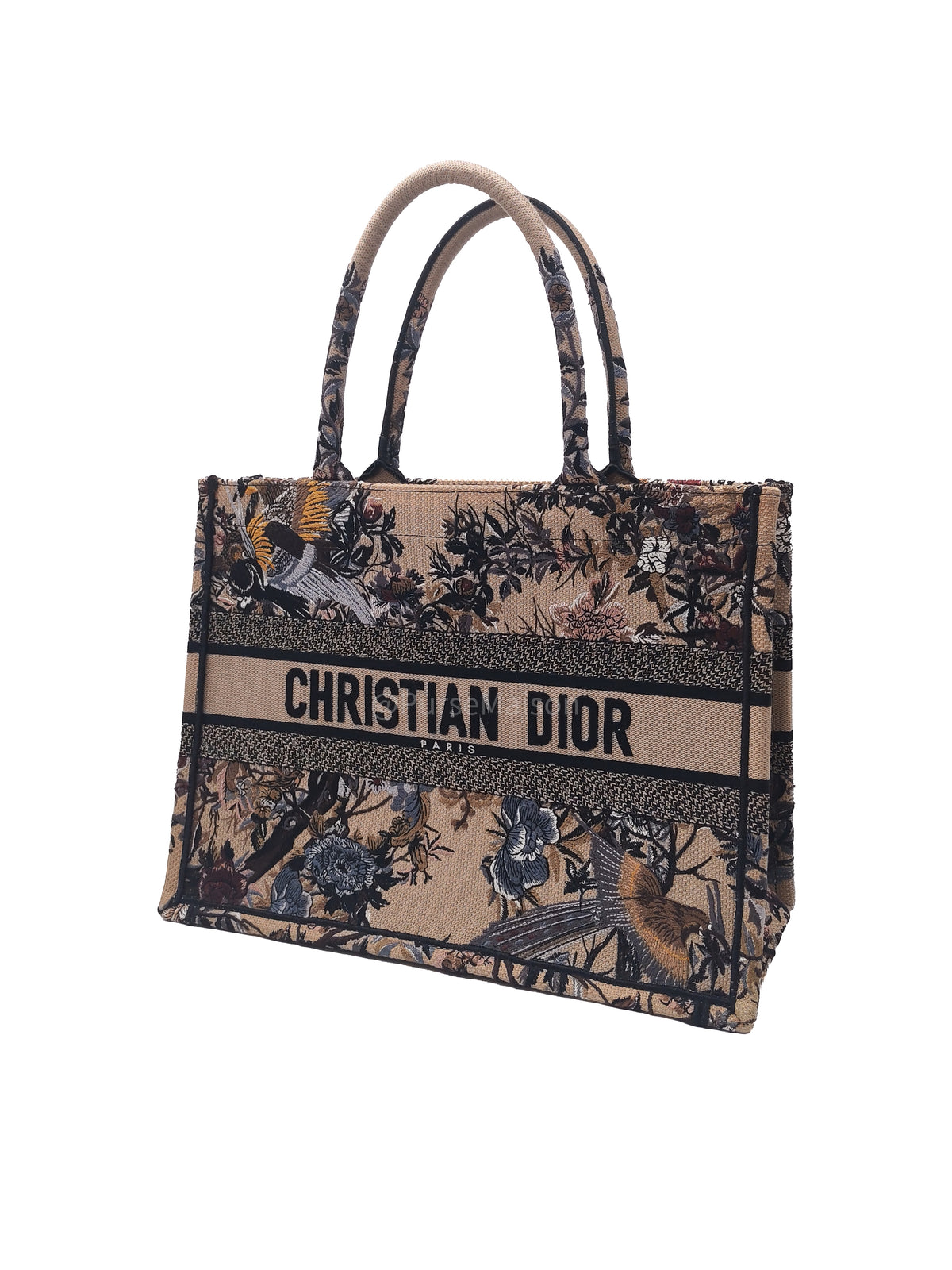 Christian Dior Medium Dior Book Tote in Multicolor Jardin d’Hiver Embroidery Canvas