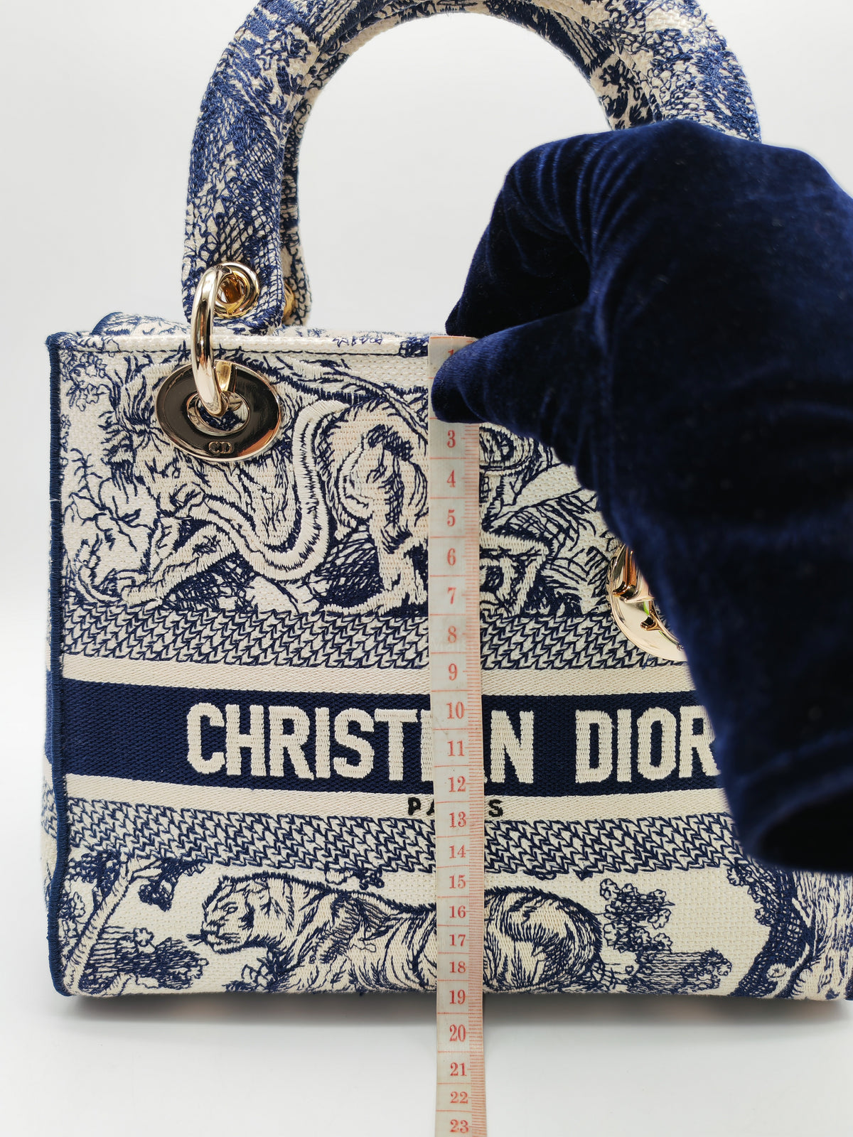 Christian Dior Lady D-Lite Medium in Toile De Jouy Embroidery Canvas and Light Gold Hardware