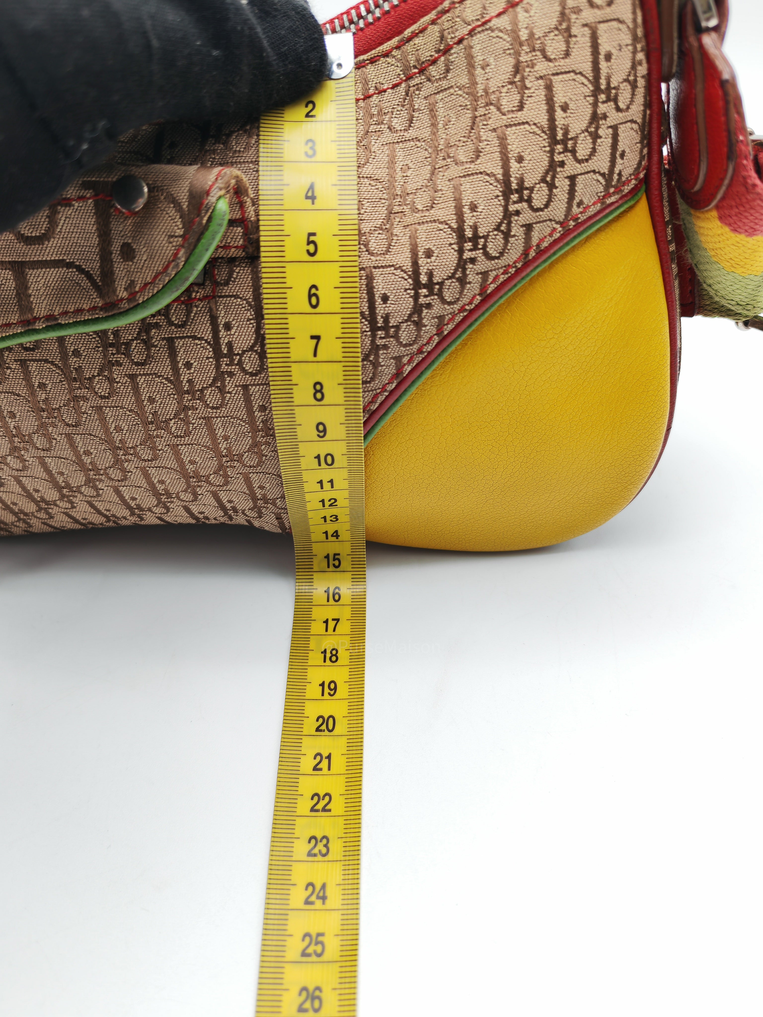 Christian Dior Rasta Trotter Double Saddle Bag in Beige Monogram Canvas with Yellow and Rasta-Colored Accents
