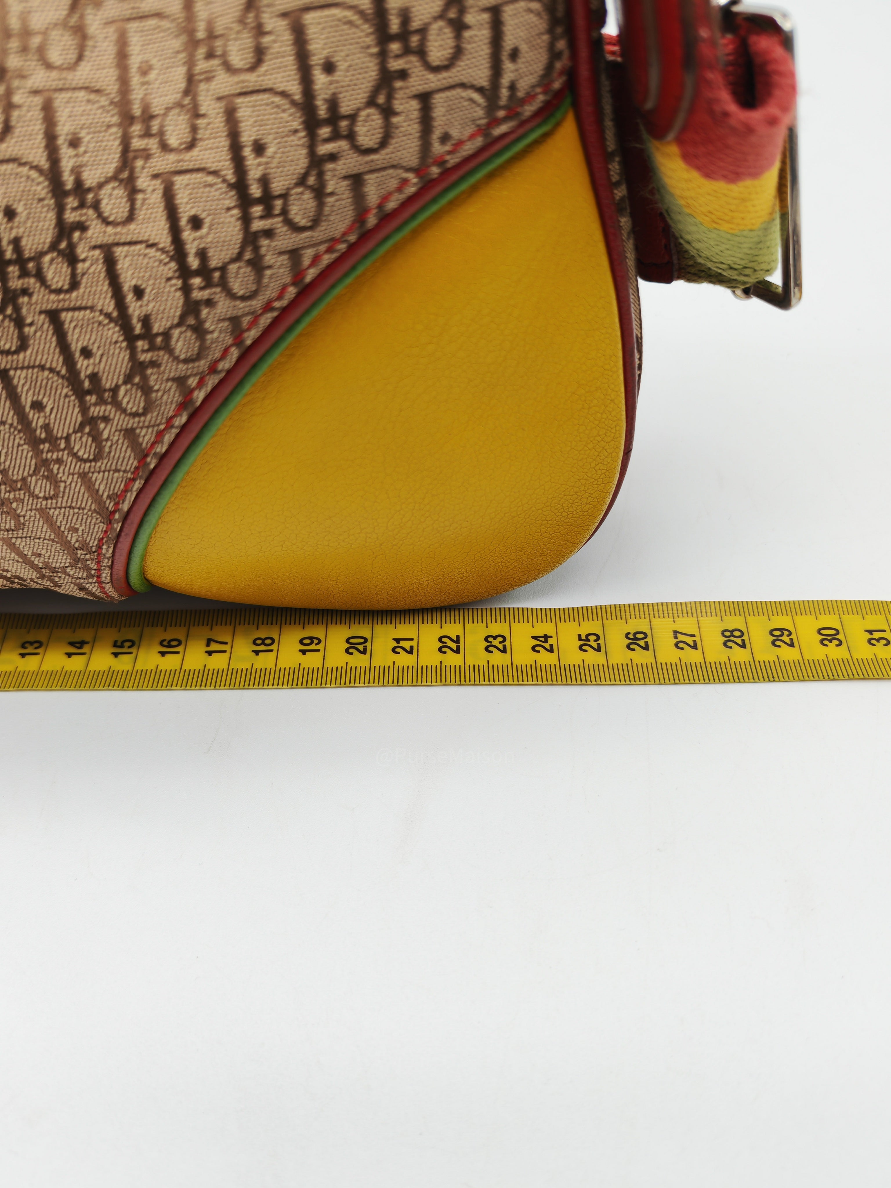 Christian Dior Rasta Trotter Double Saddle Bag in Beige Monogram Canvas with Yellow and Rasta-Colored Accents