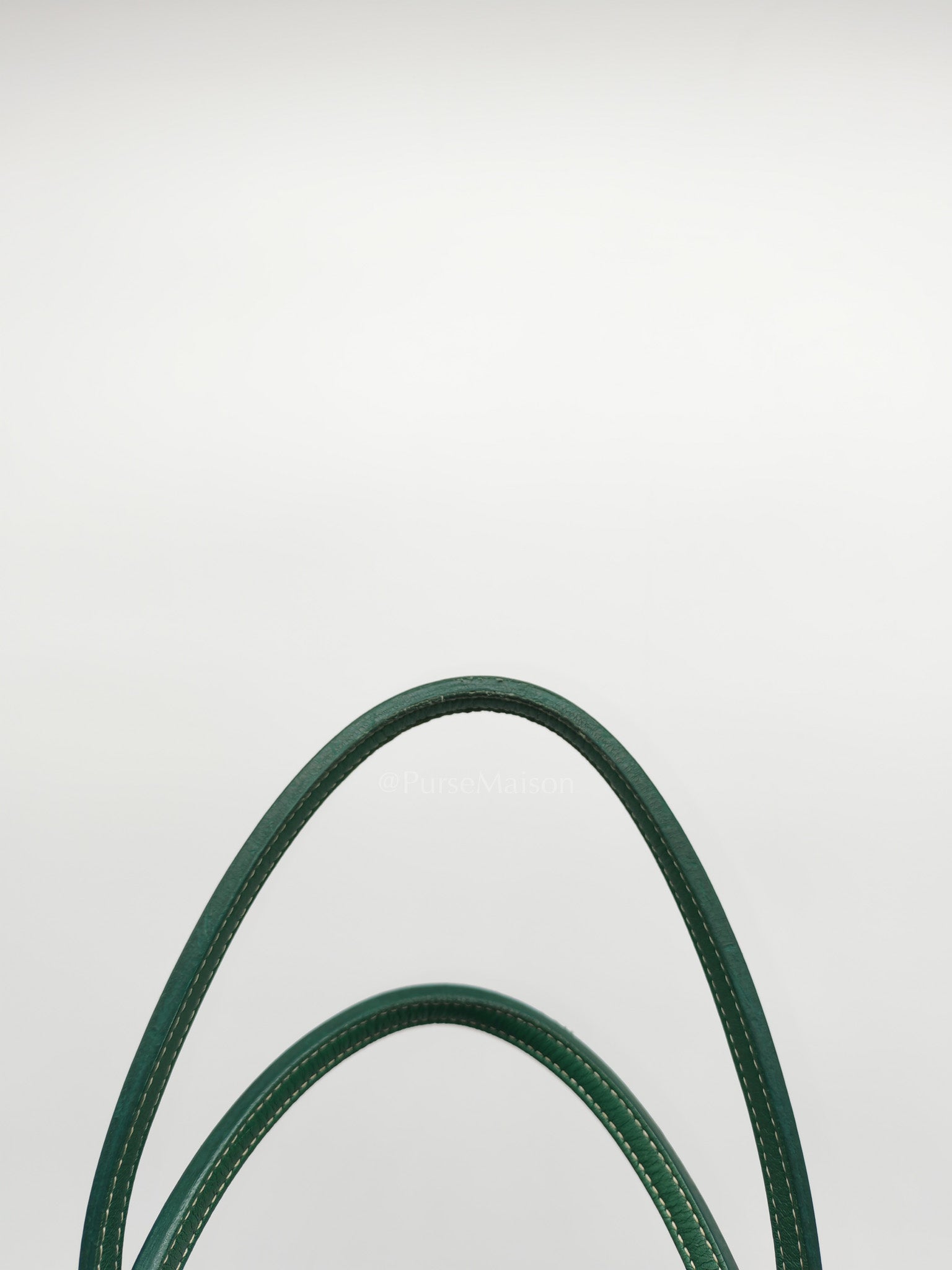 Goyard Saint Louis PM Tote Bag in Green Goyardine Canvas