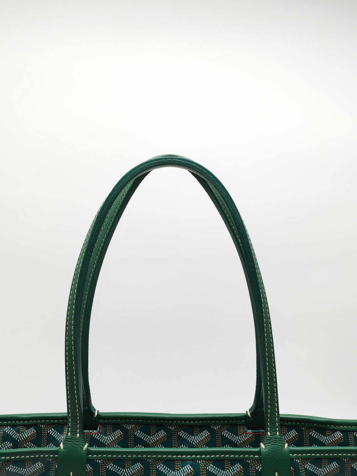 Goyard Artois Tote Bag PM in Green Goyardine Canvas