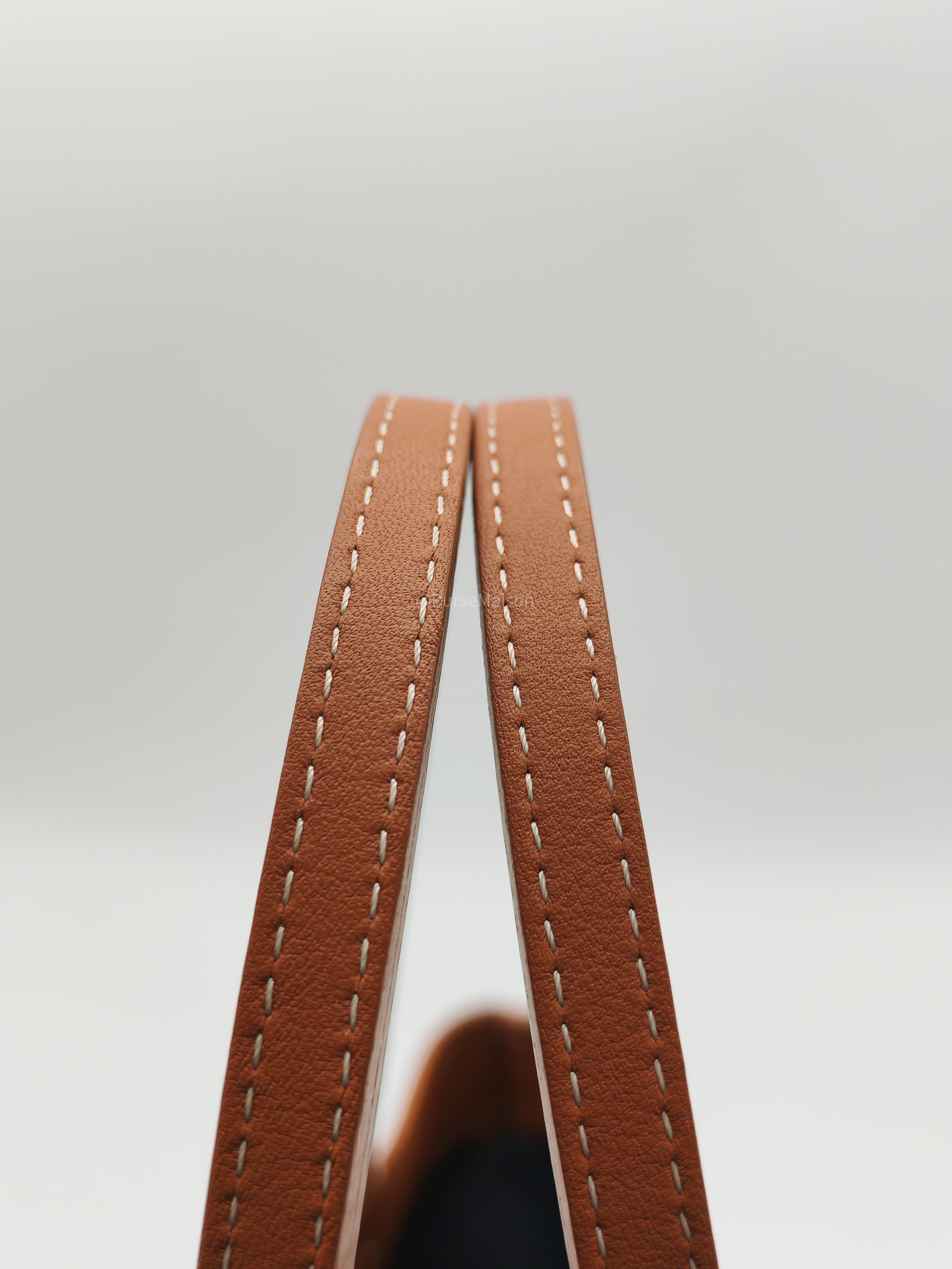 Goyard Mini Anjou Tote Bag in Tan Goyardine Canvas