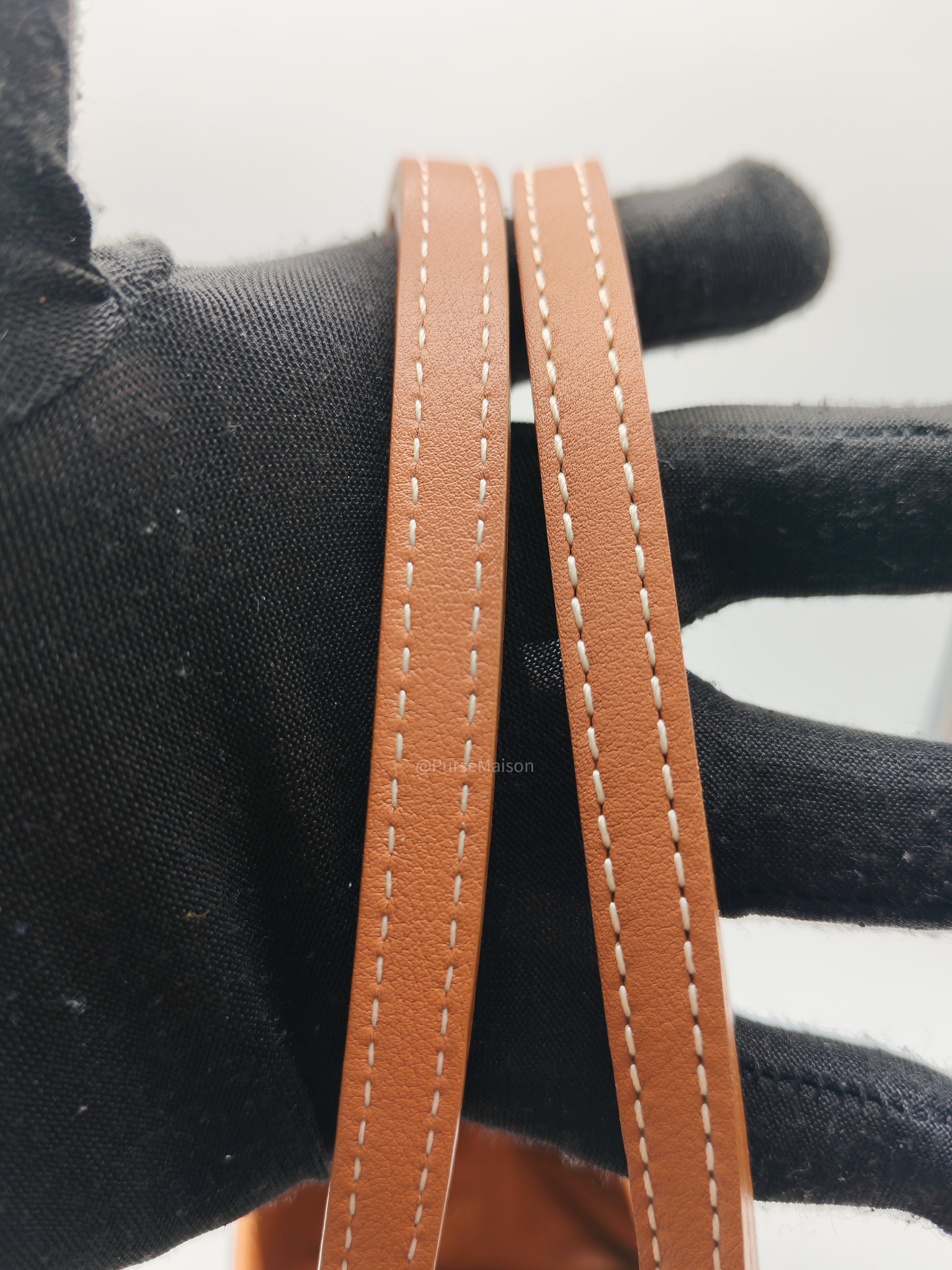 Goyard Sac Anjou Tote Bag PM in Noir Et Naturel/Tan Goyardine Canvas