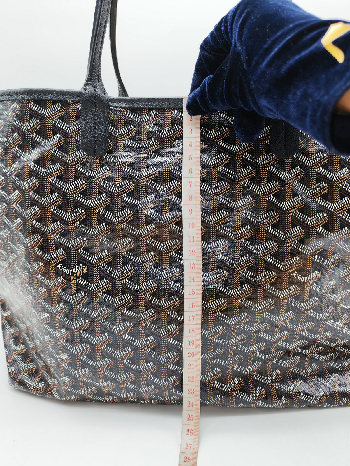 Goyard Saint Louis PM in Black Goyardine Canvas