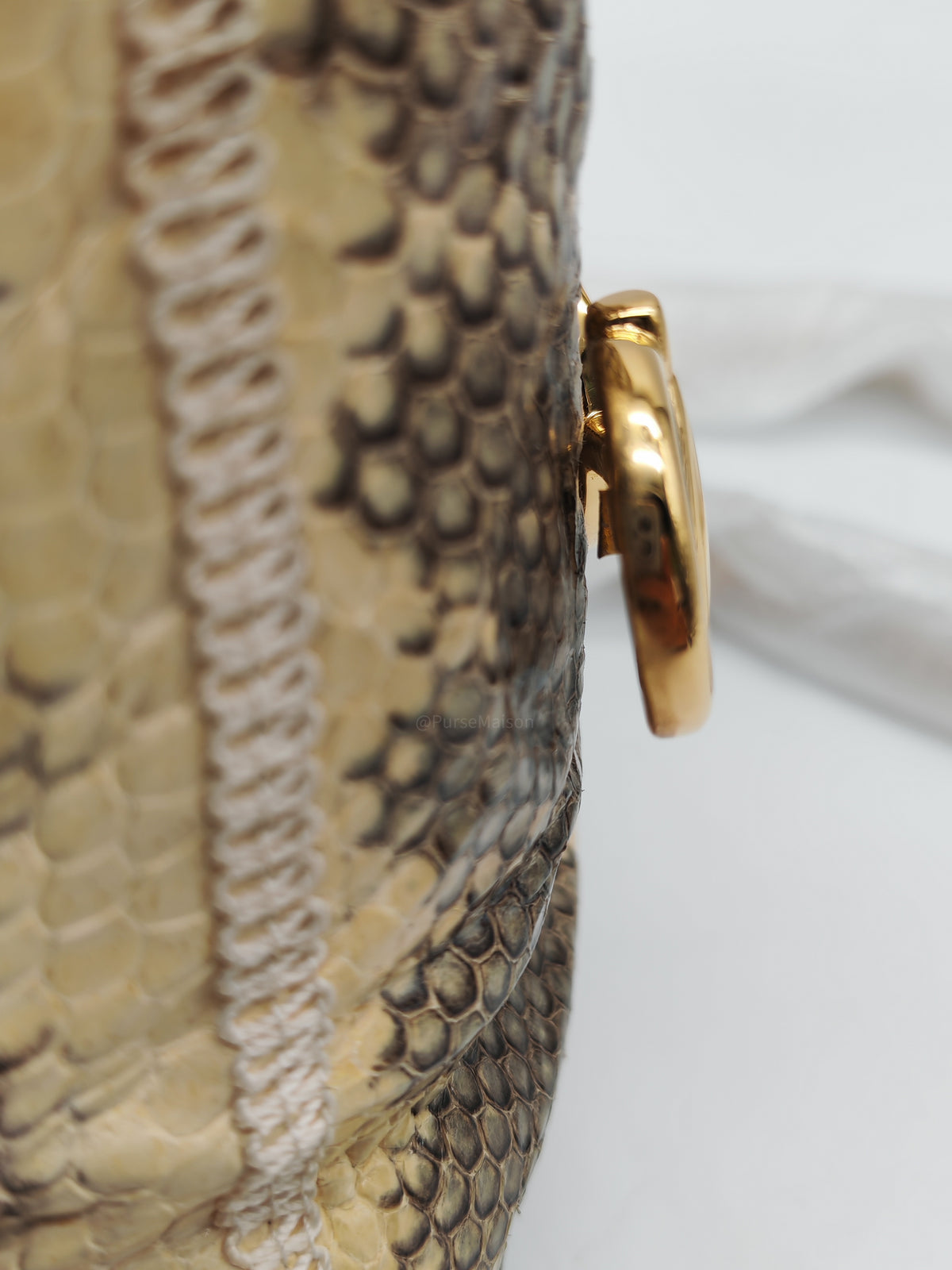 Gucci Zumi Snakeskin Mini Bucket Bag in Snakeskin Leather and Mixed Hardware