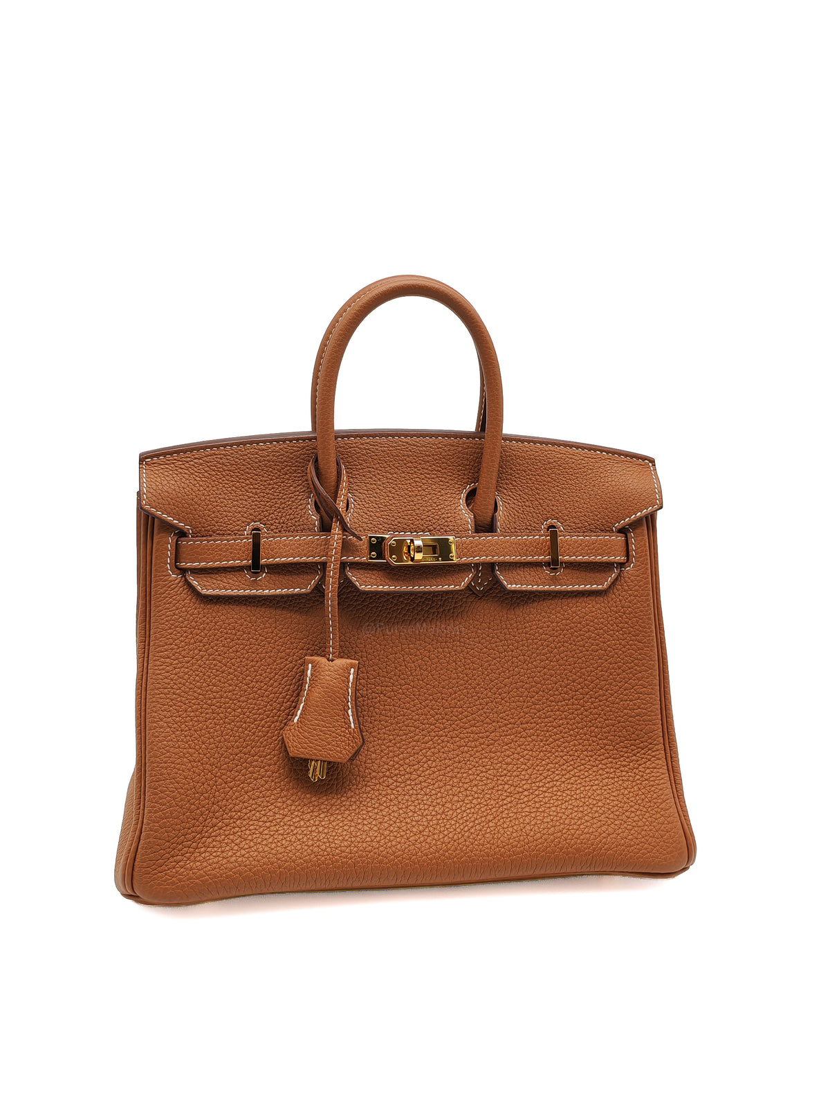 Hermes Birkin 25 in Gold Togo Leather Gold Hardware Stamp B (2023)