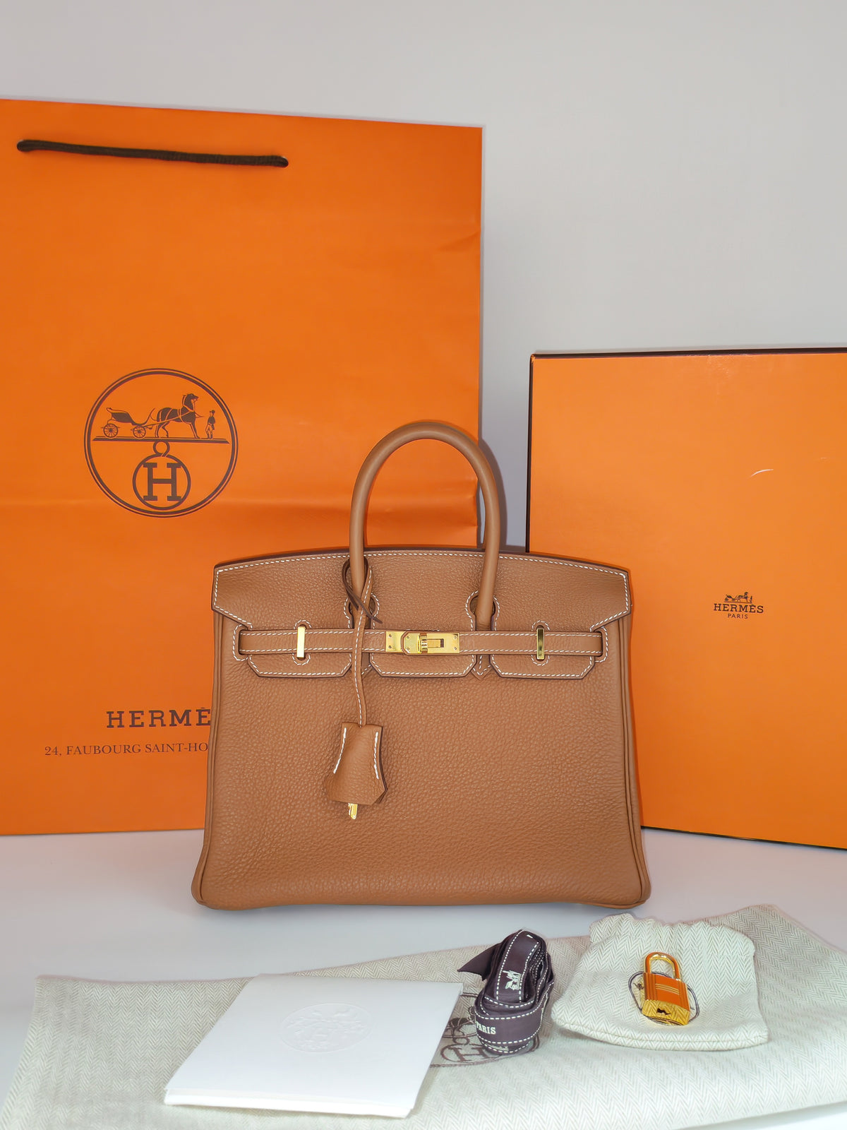 Hermes Birkin 25 in Gold Togo Leather Gold Hardware Stamp B (2023)
