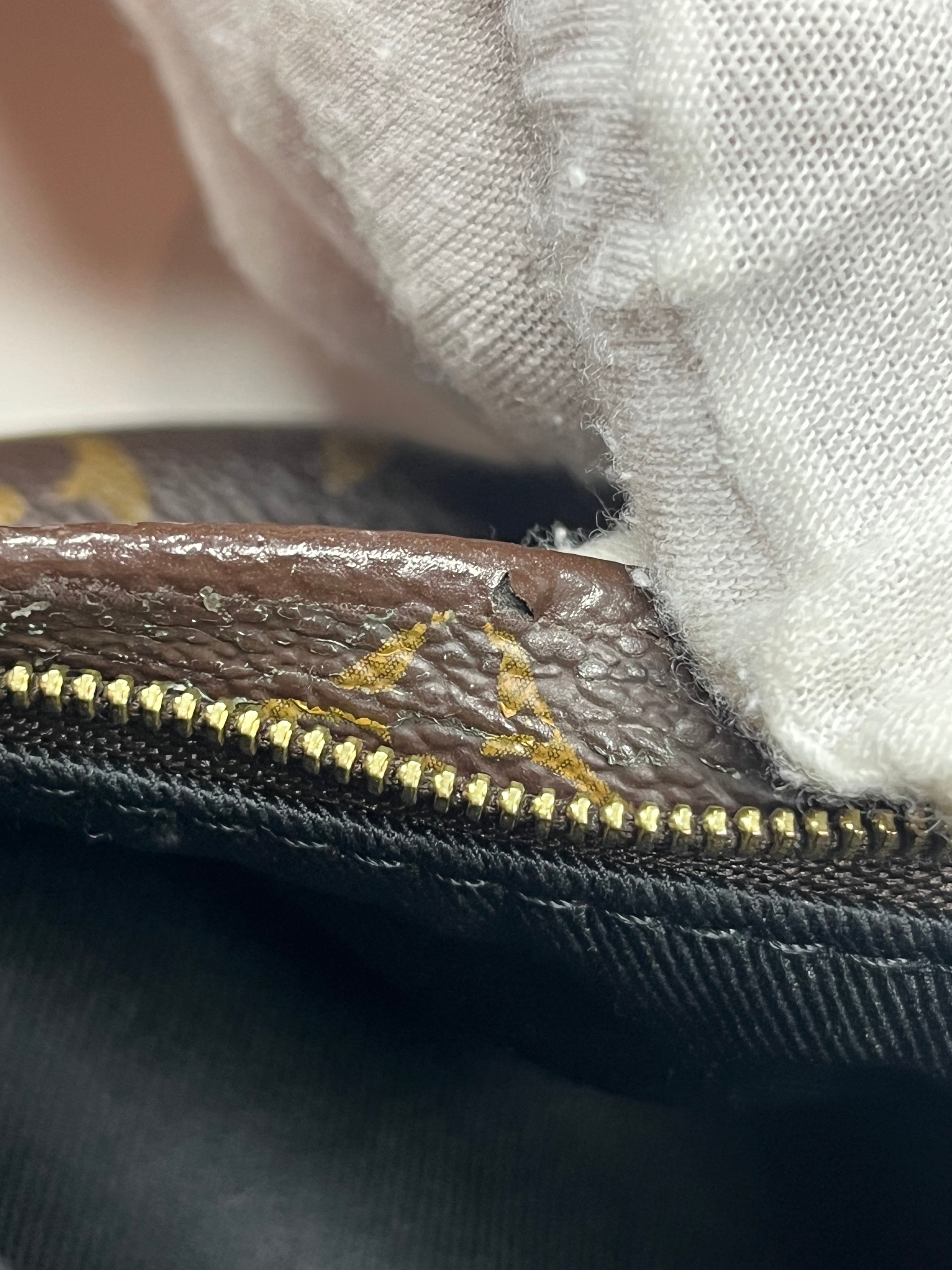 Palm Spring Mini in Monogram Canvas (Date code: CA1148)