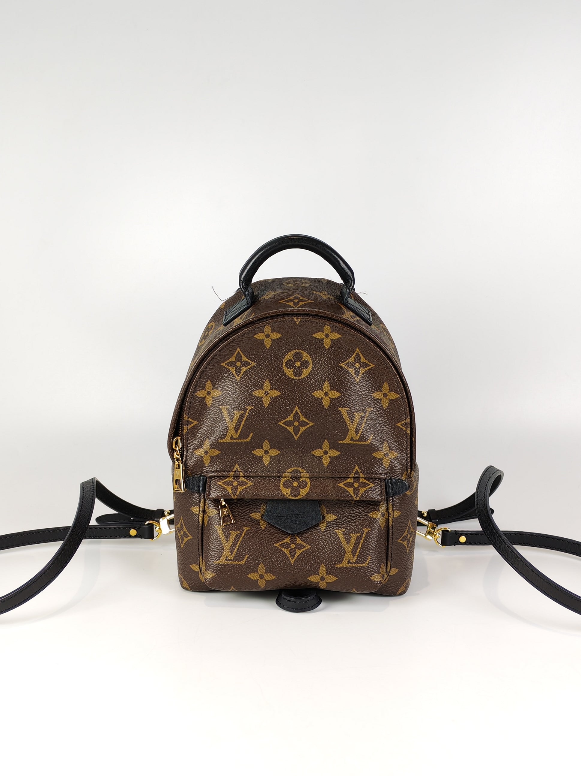 Palm Spring Mini in Monogram Canvas (Date code: CA1148)