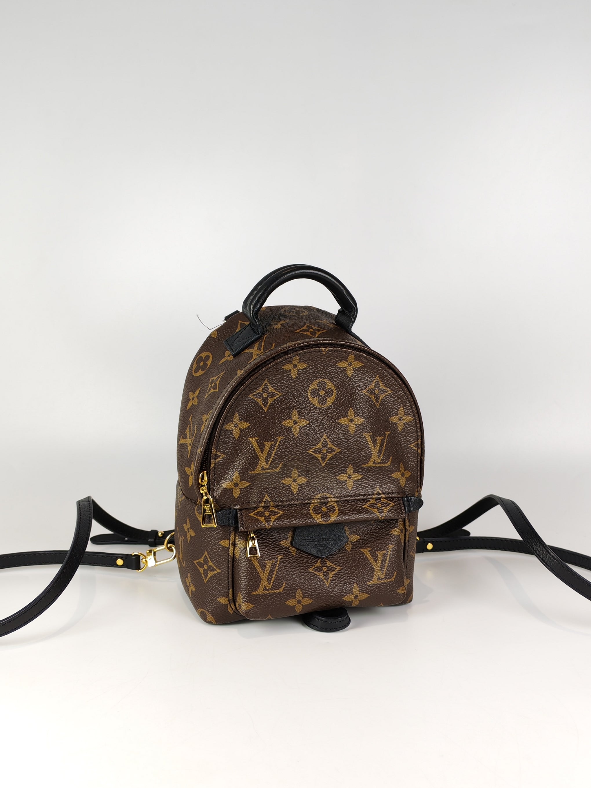 Palm Spring Mini in Monogram Canvas (Date code: CA1148)