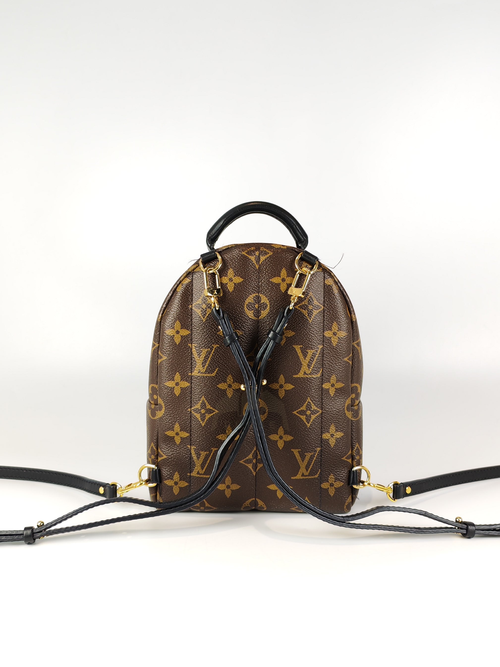 Palm Spring Mini in Monogram Canvas (Date code: CA1148)