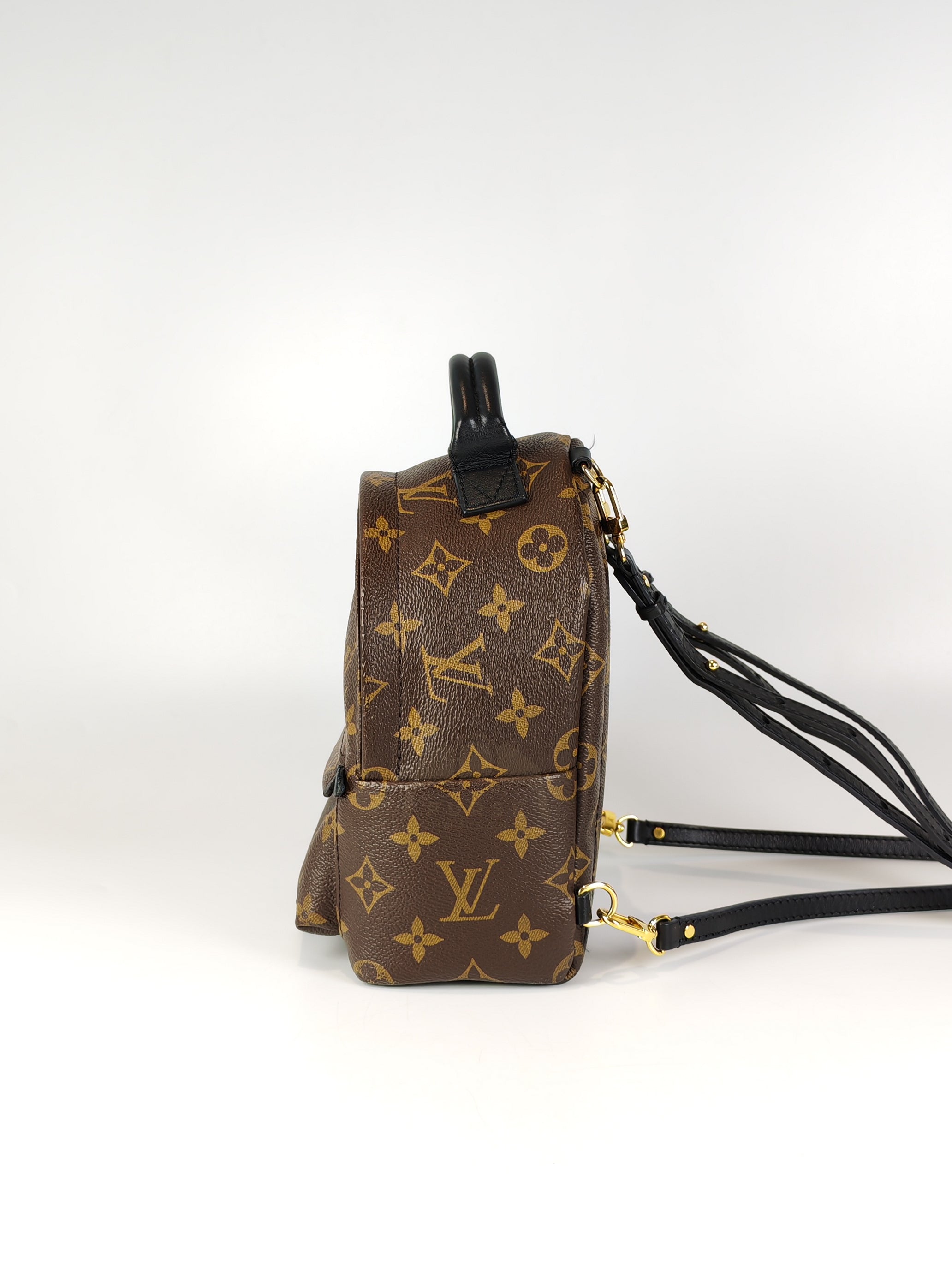 Palm Spring Mini in Monogram Canvas (Date code: CA1148)