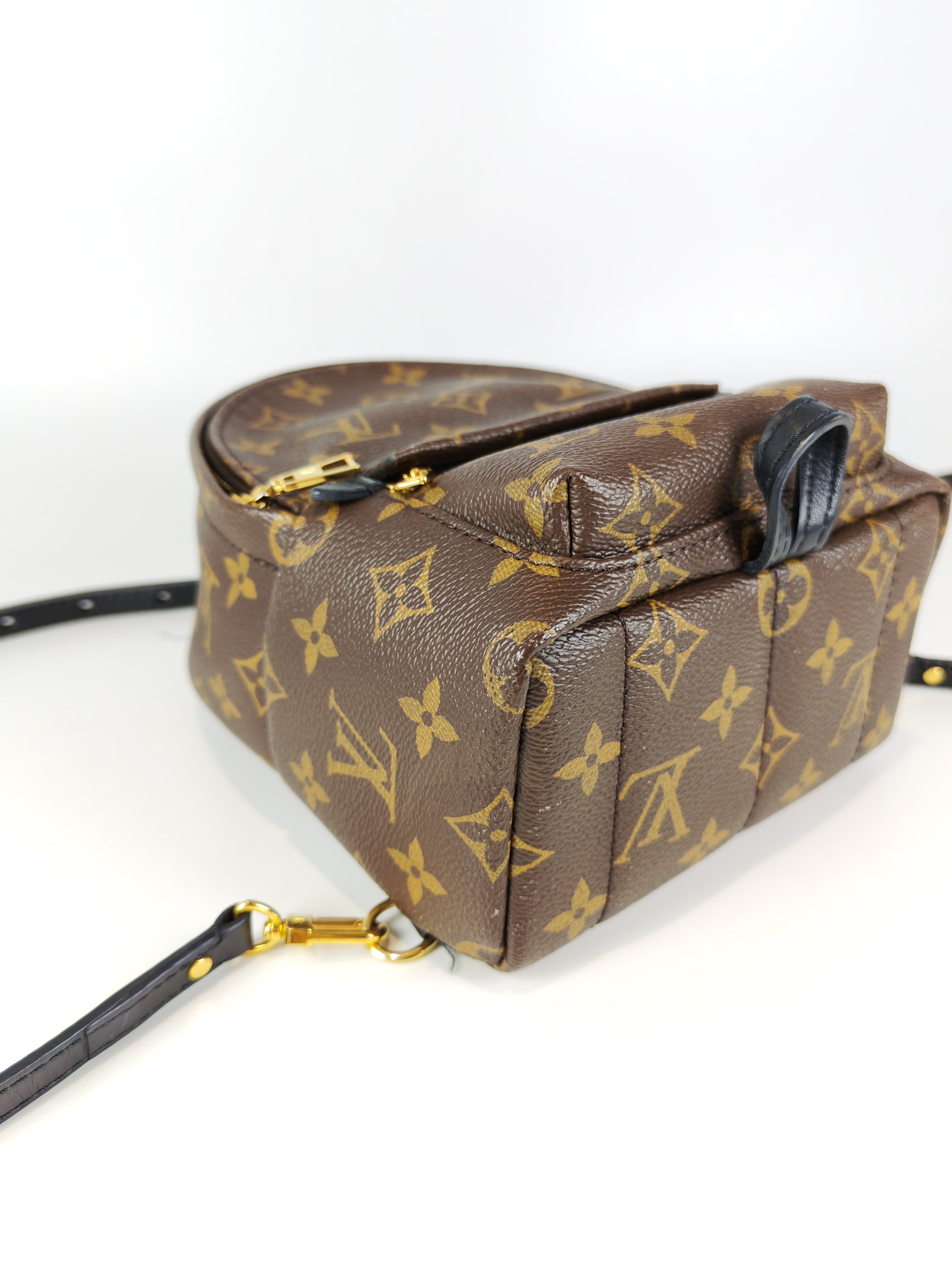 Palm Spring Mini in Monogram Canvas (Date code: CA1148)