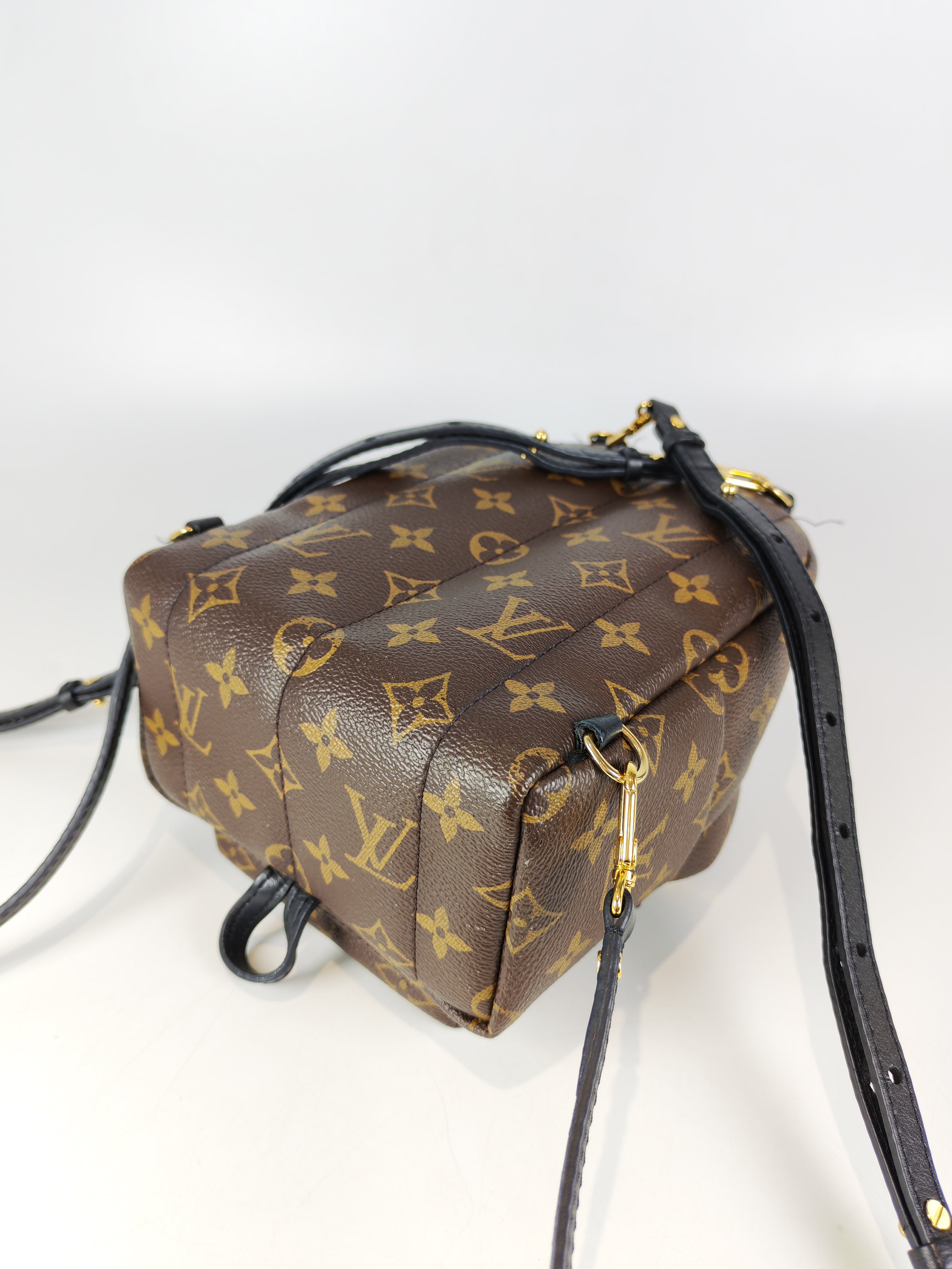 Palm Spring Mini in Monogram Canvas (Date code: CA1148)