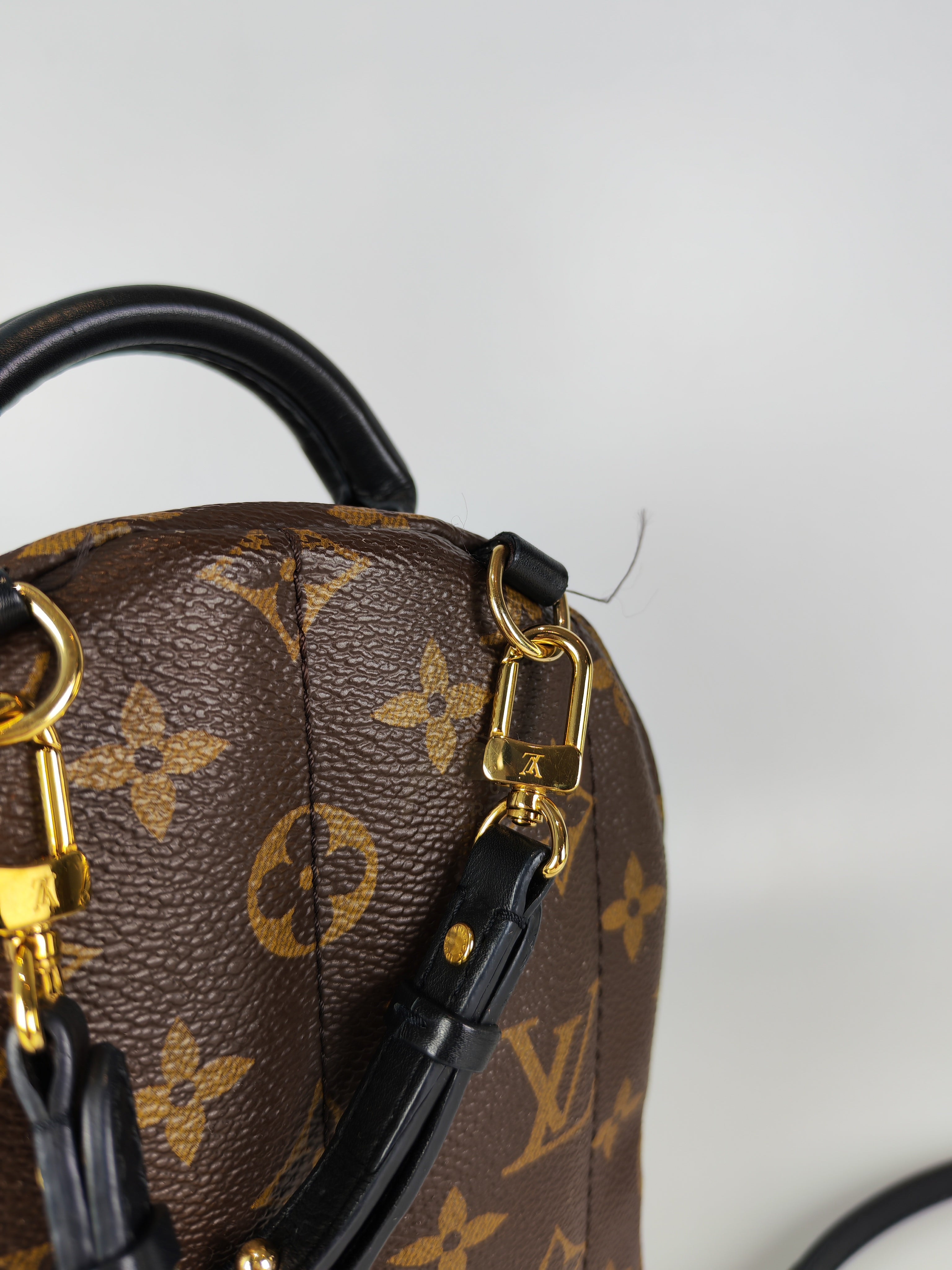 Palm Spring Mini in Monogram Canvas (Date code: CA1148)