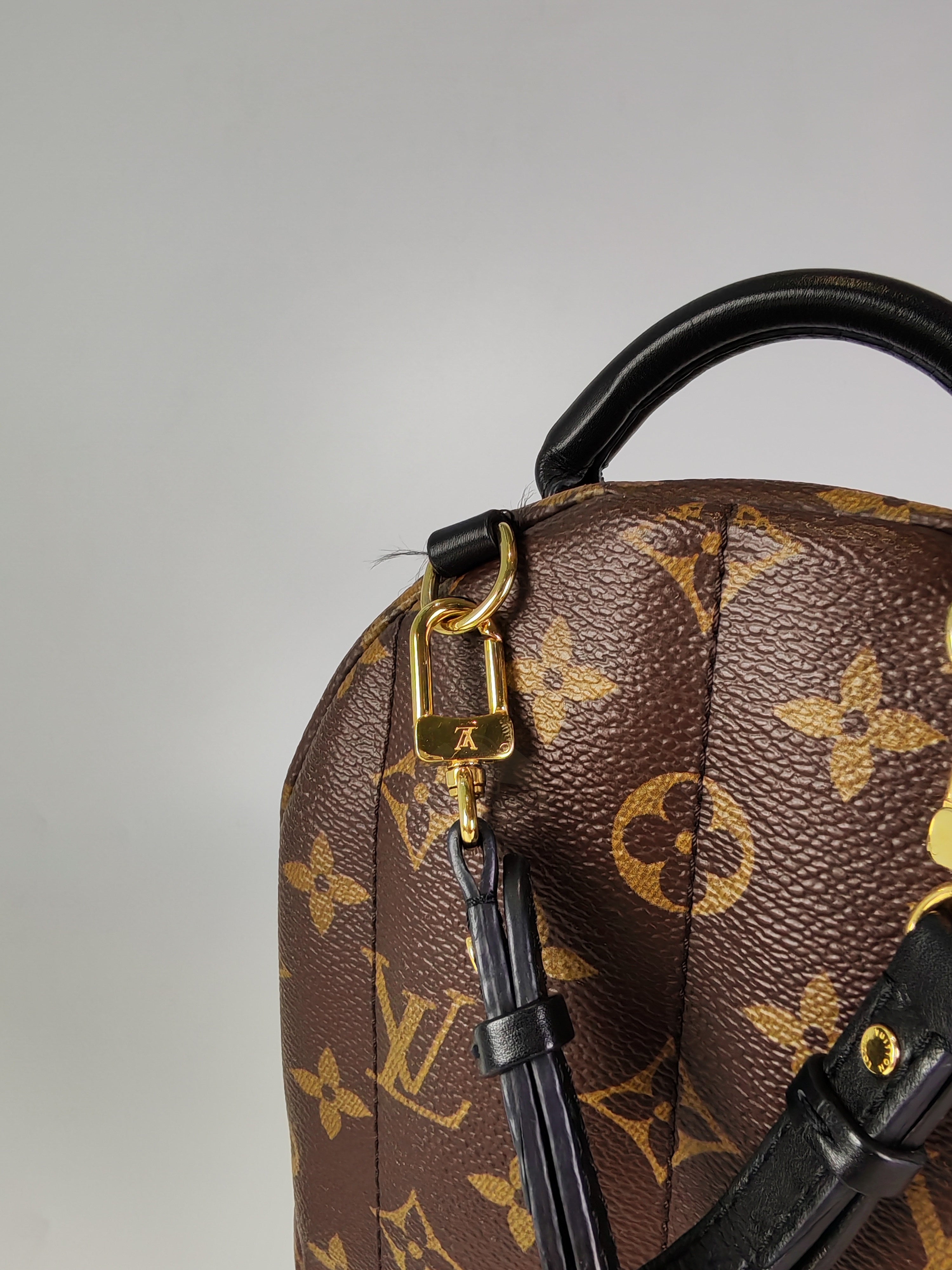 Palm Spring Mini in Monogram Canvas (Date code: CA1148)