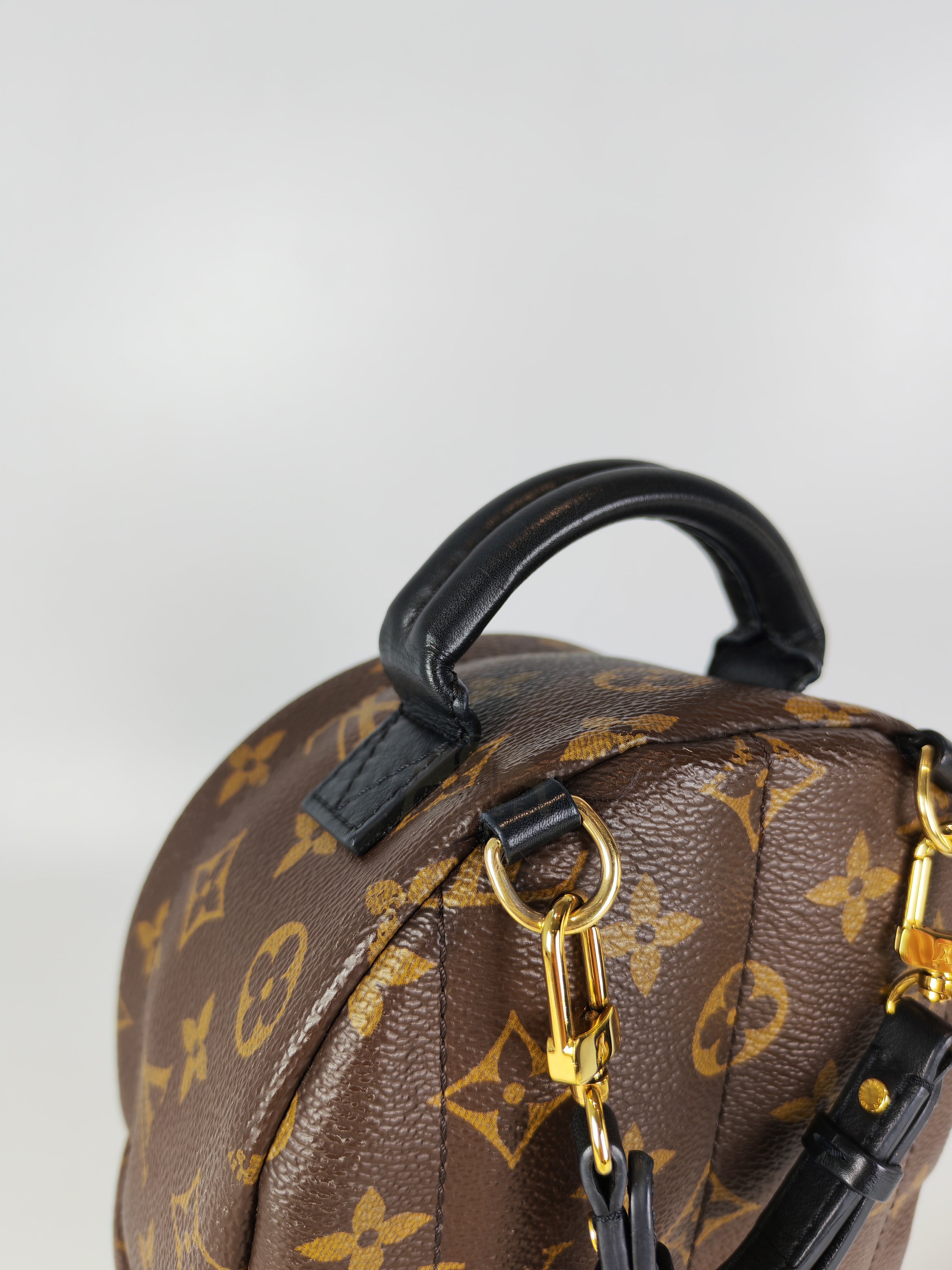 Palm Spring Mini in Monogram Canvas (Date code: CA1148)