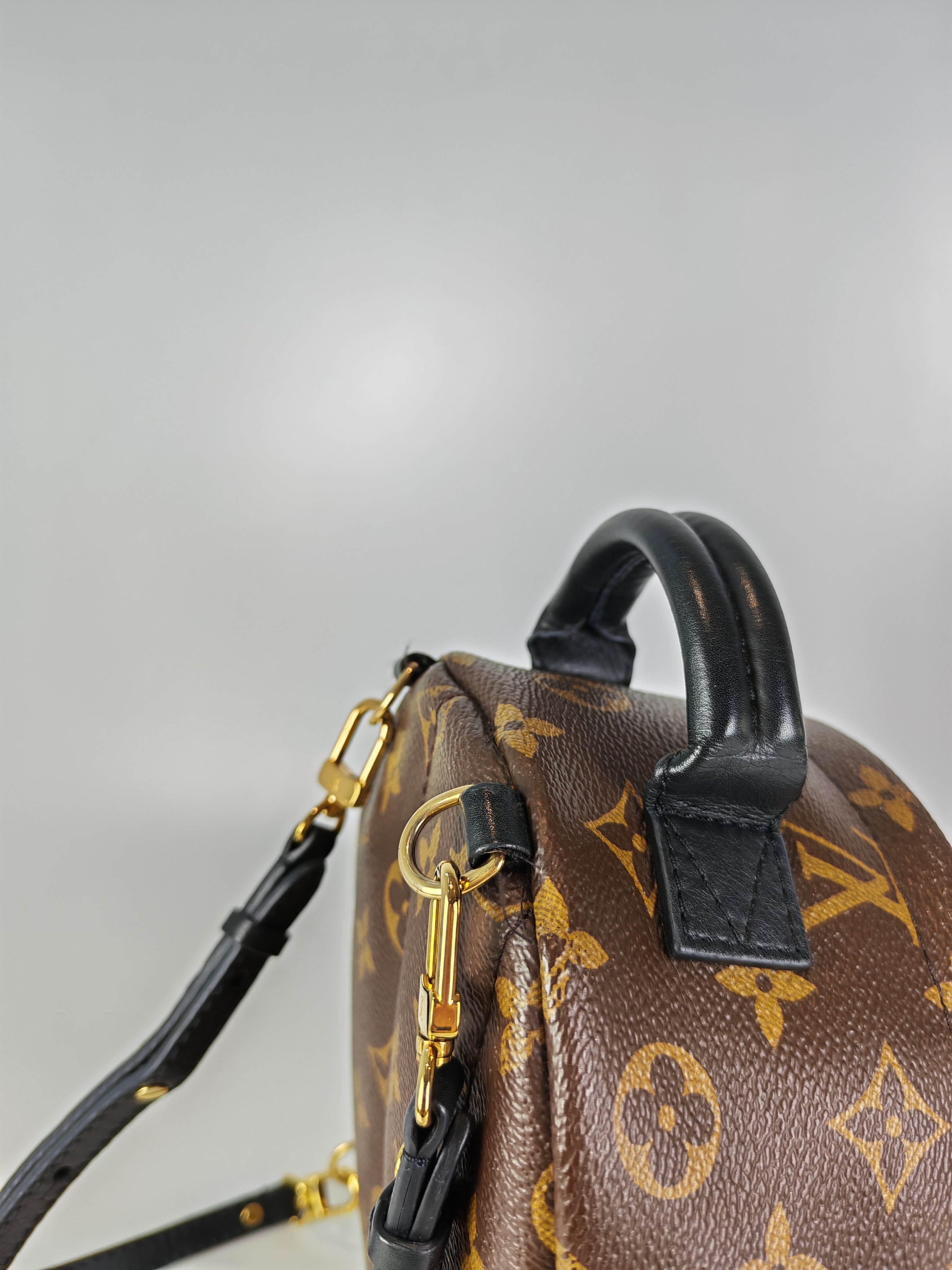 Palm Spring Mini in Monogram Canvas (Date code: CA1148)