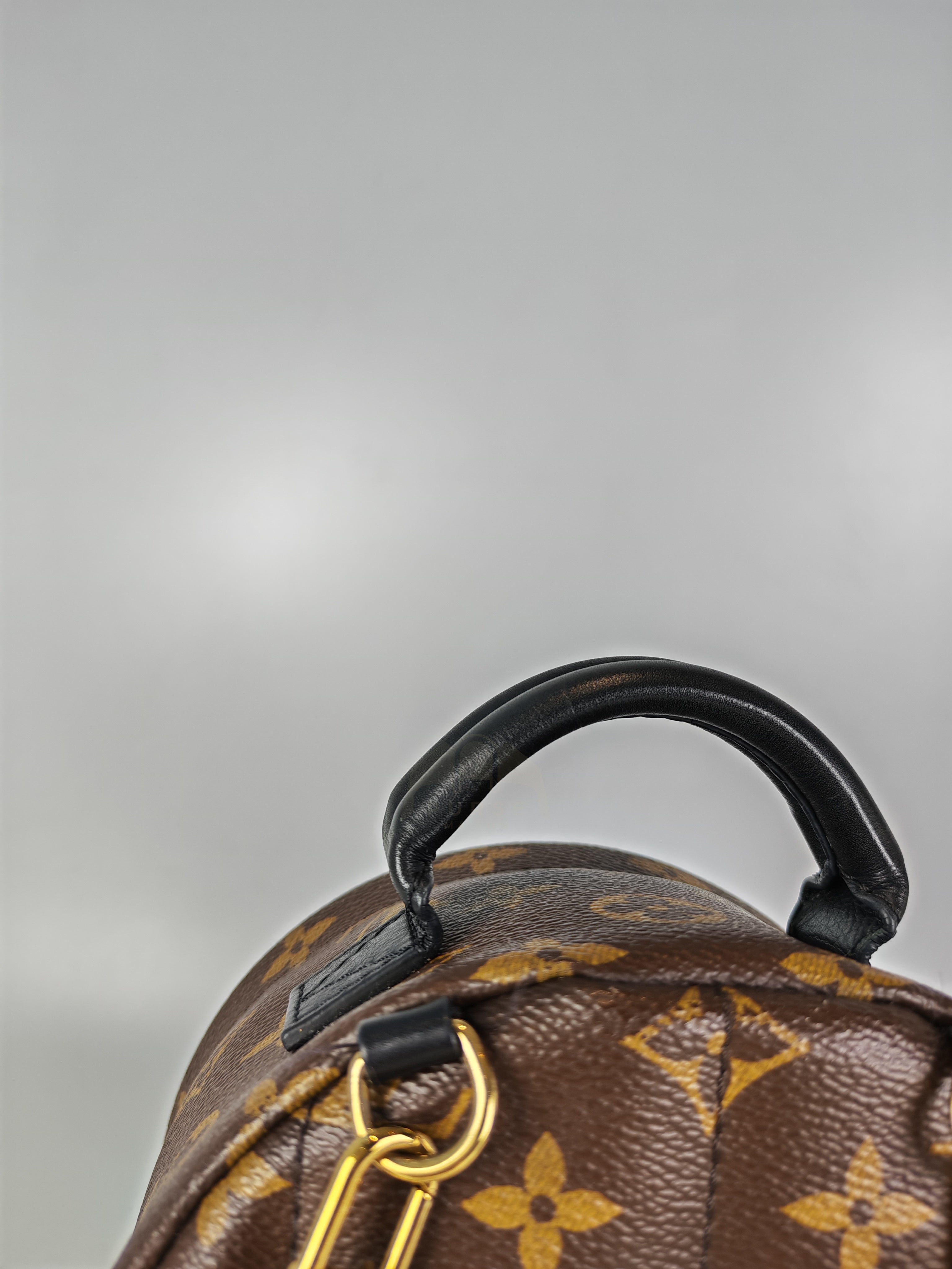 Palm Spring Mini in Monogram Canvas (Date code: CA1148)