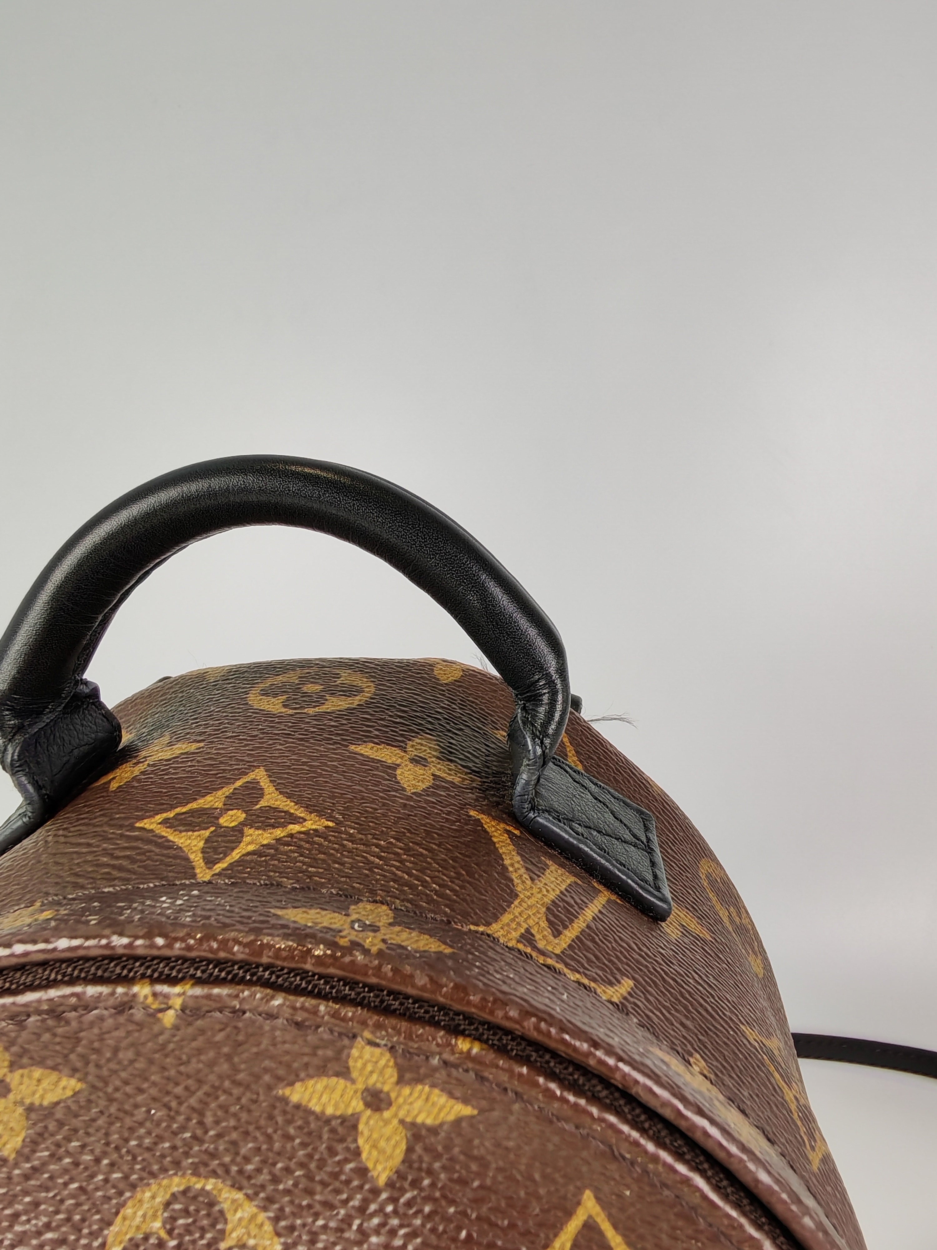 Palm Spring Mini in Monogram Canvas (Date code: CA1148)