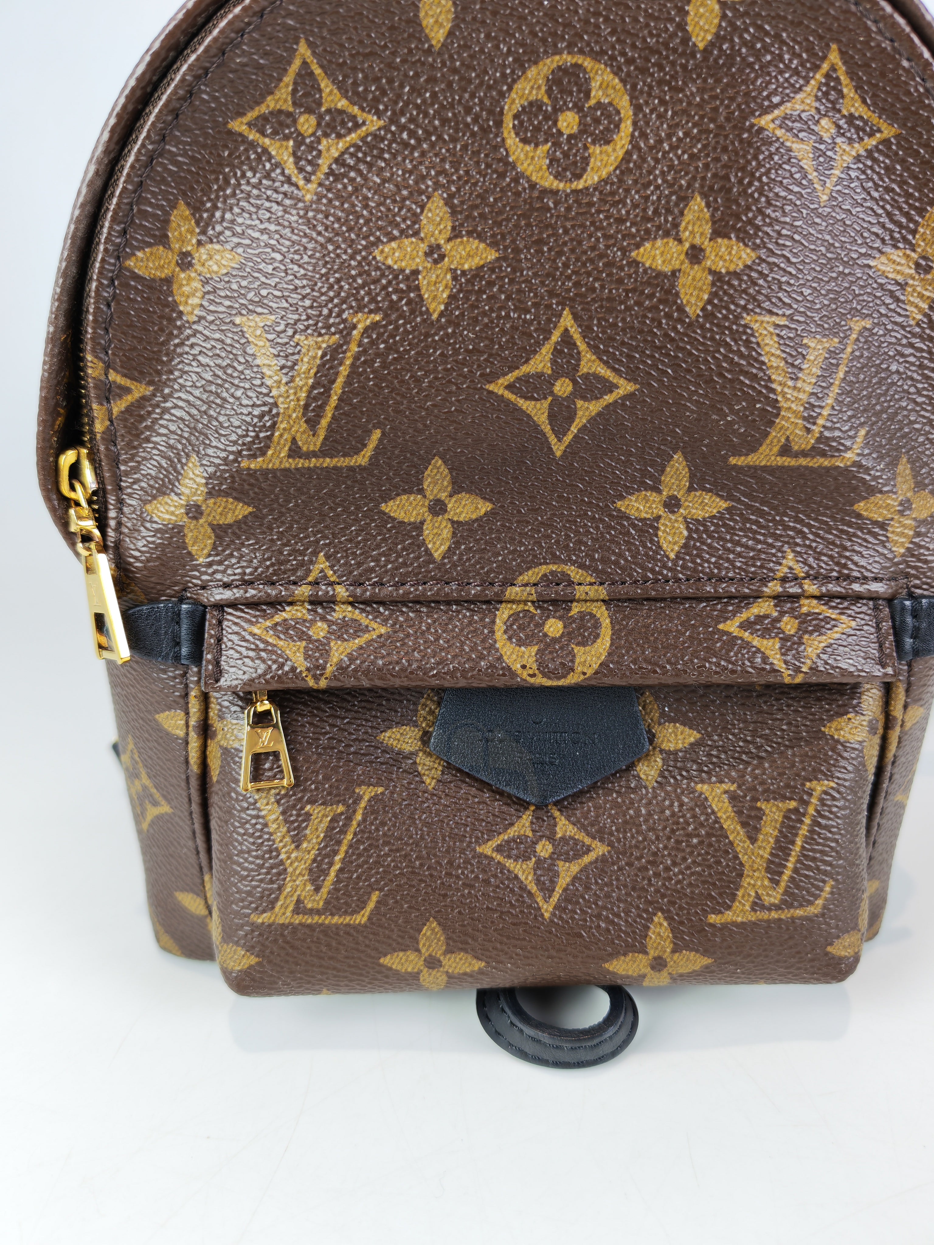 Palm Spring Mini in Monogram Canvas (Date code: CA1148)