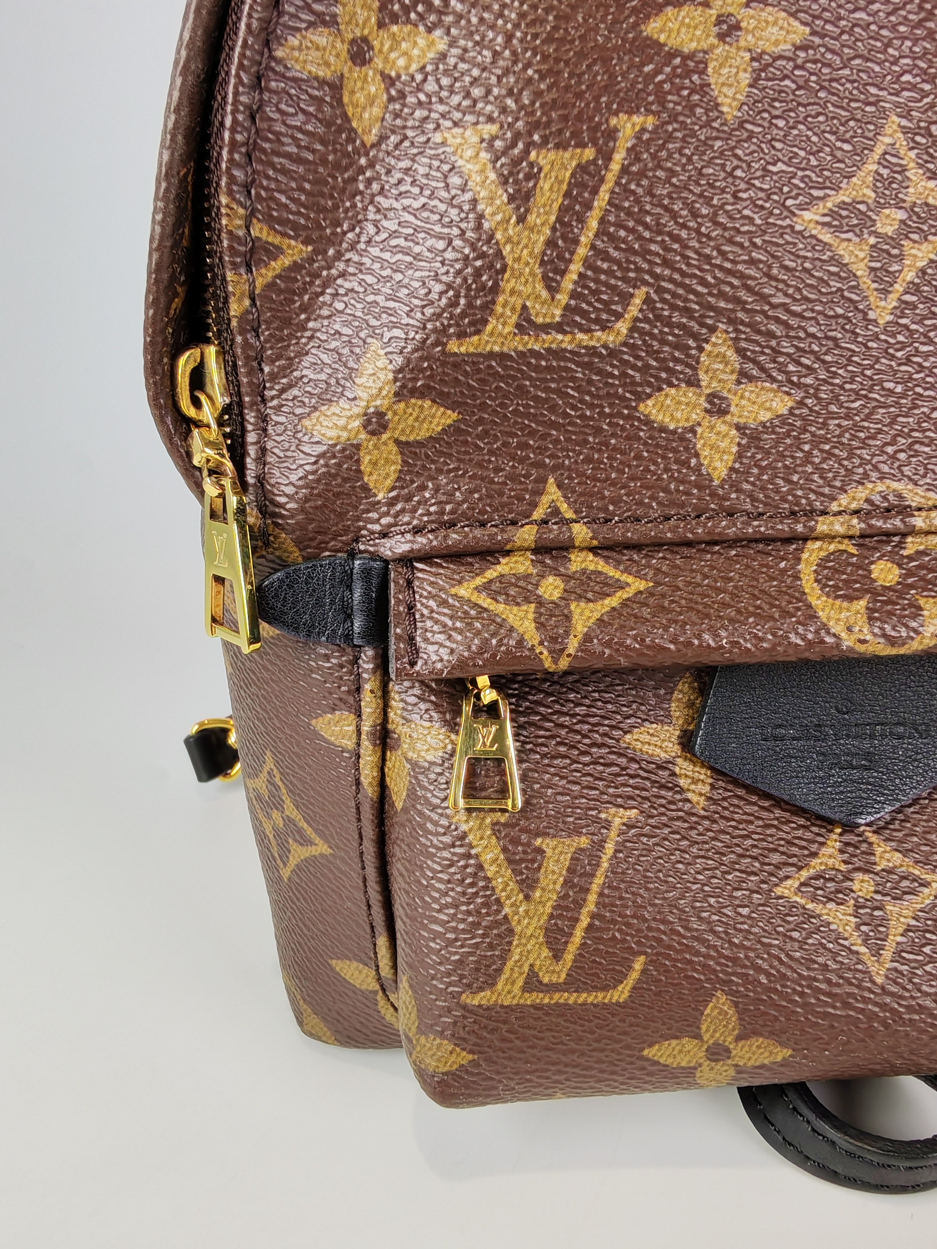 Palm Spring Mini in Monogram Canvas (Date code: CA1148)