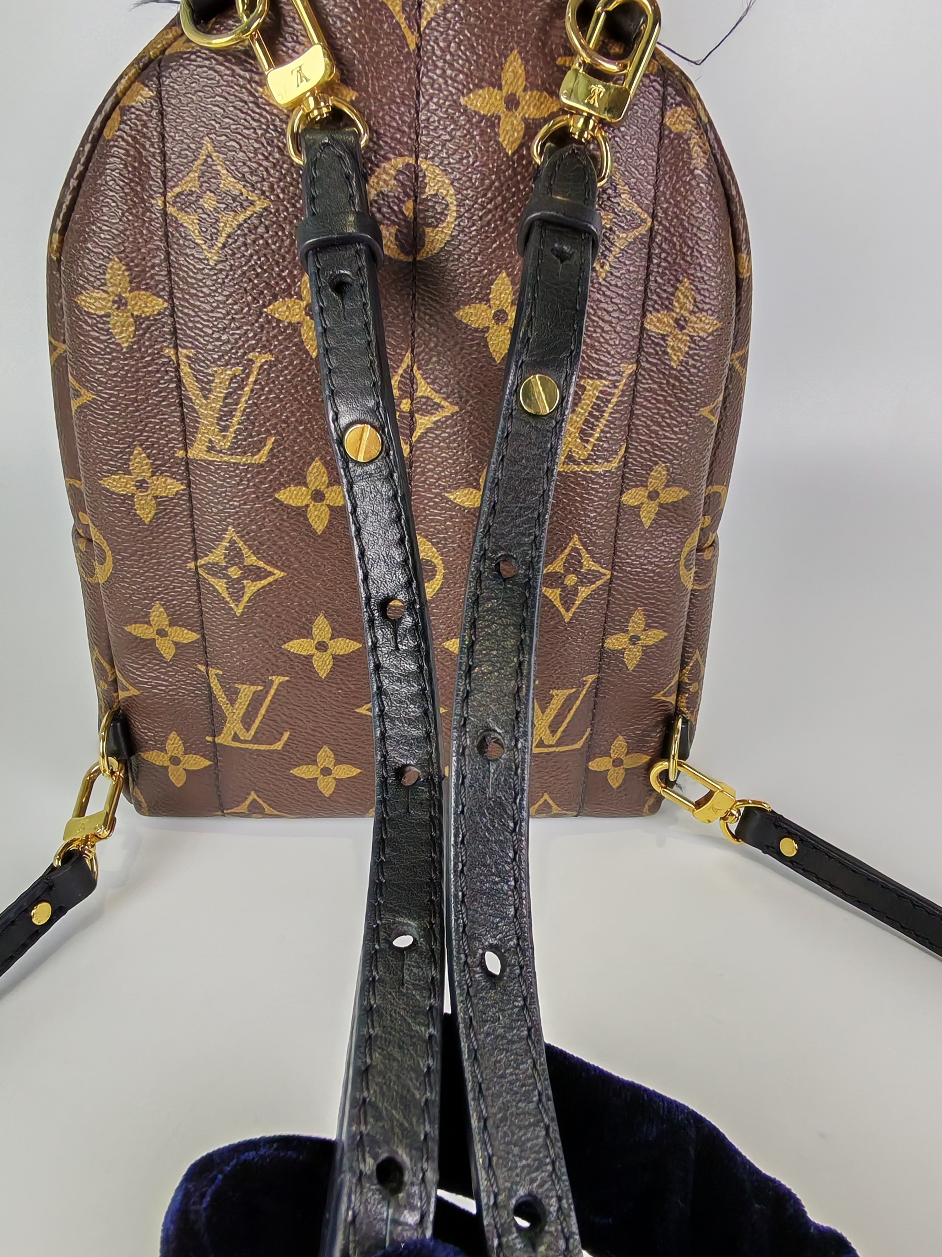 Palm Spring Mini in Monogram Canvas (Date code: CA1148)