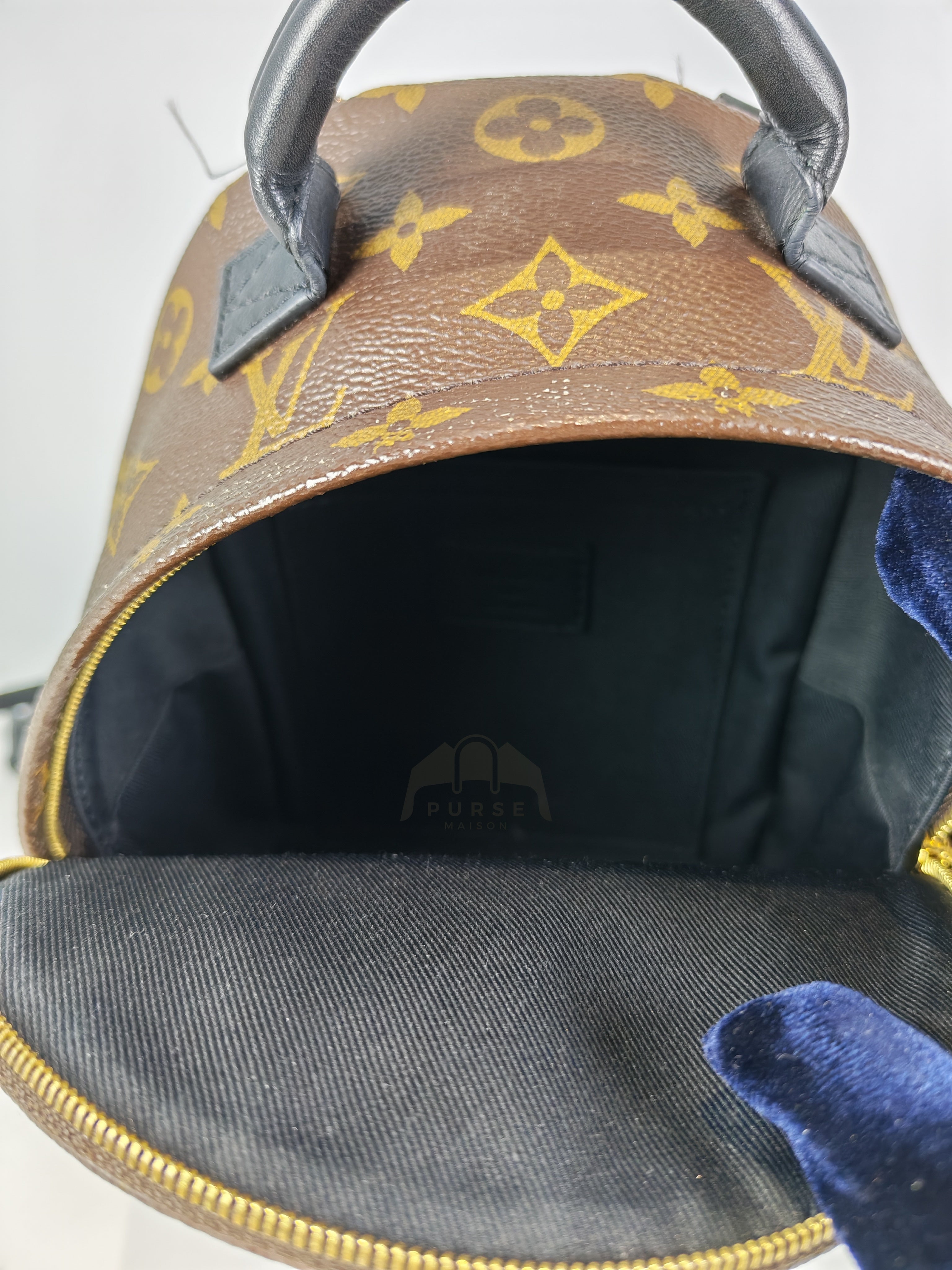 Palm Spring Mini in Monogram Canvas (Date code: CA1148)