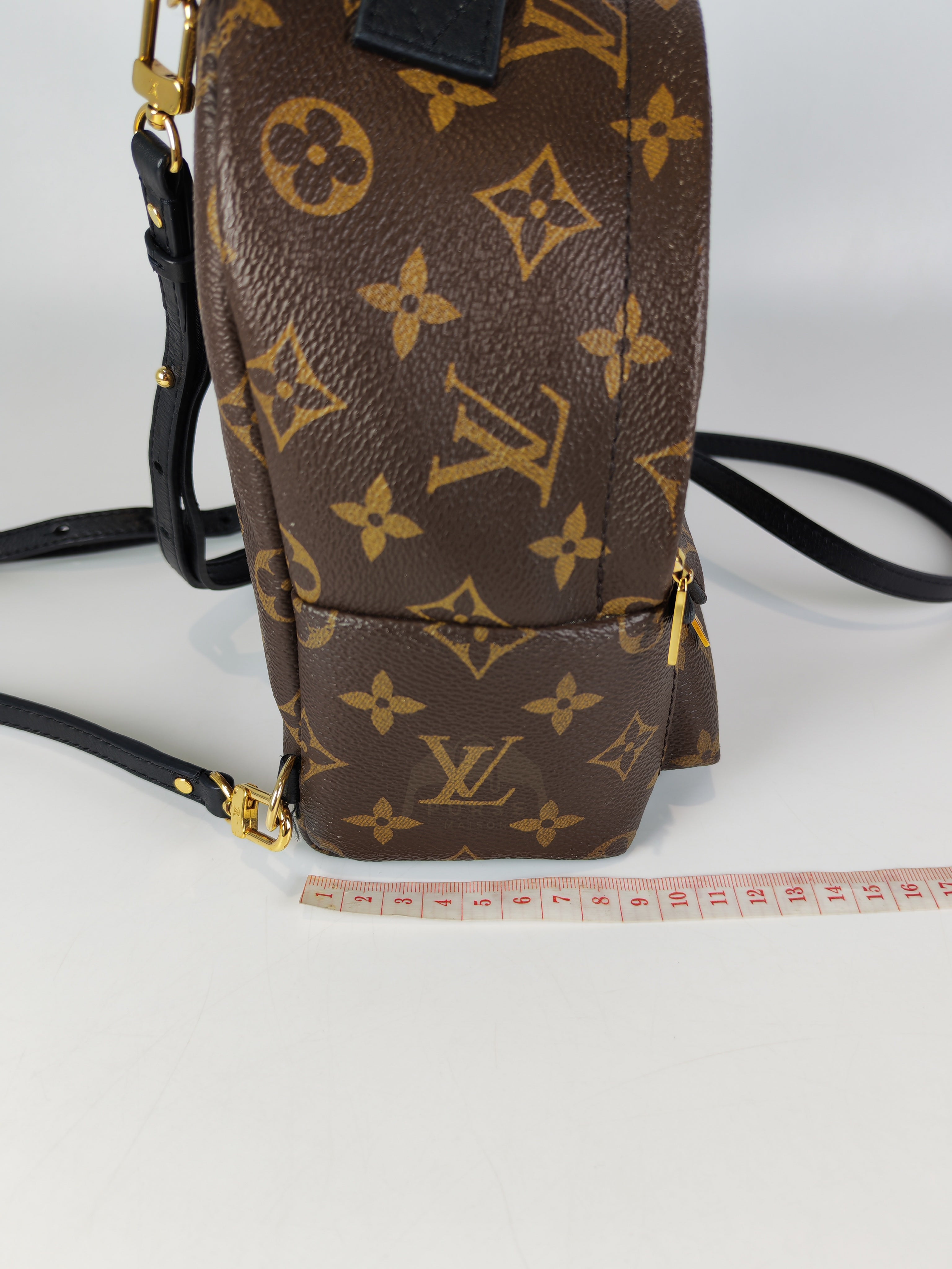 Palm Spring Mini in Monogram Canvas (Date code: CA1148)