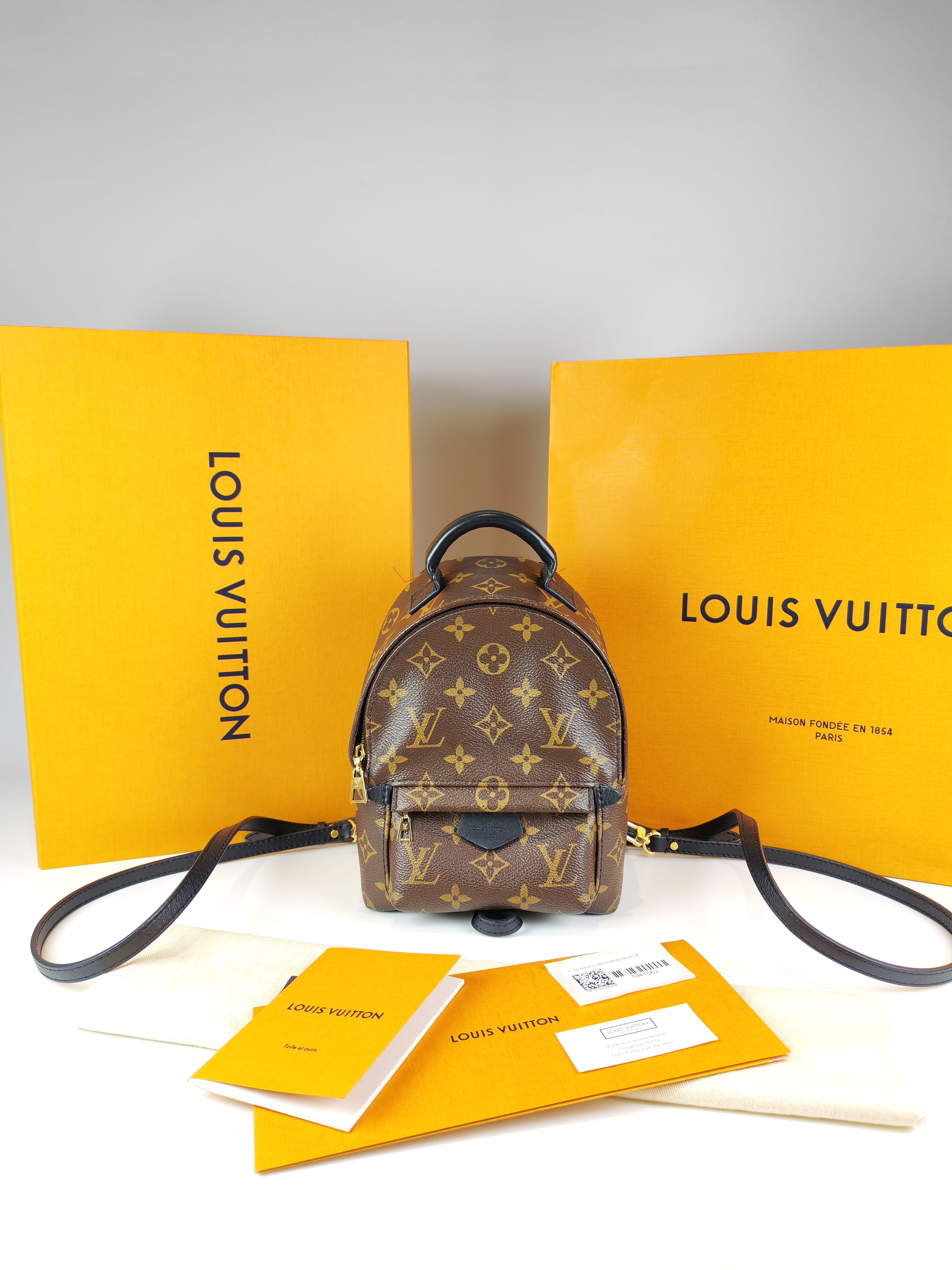 Palm Spring Mini in Monogram Canvas (Date code: CA1148)