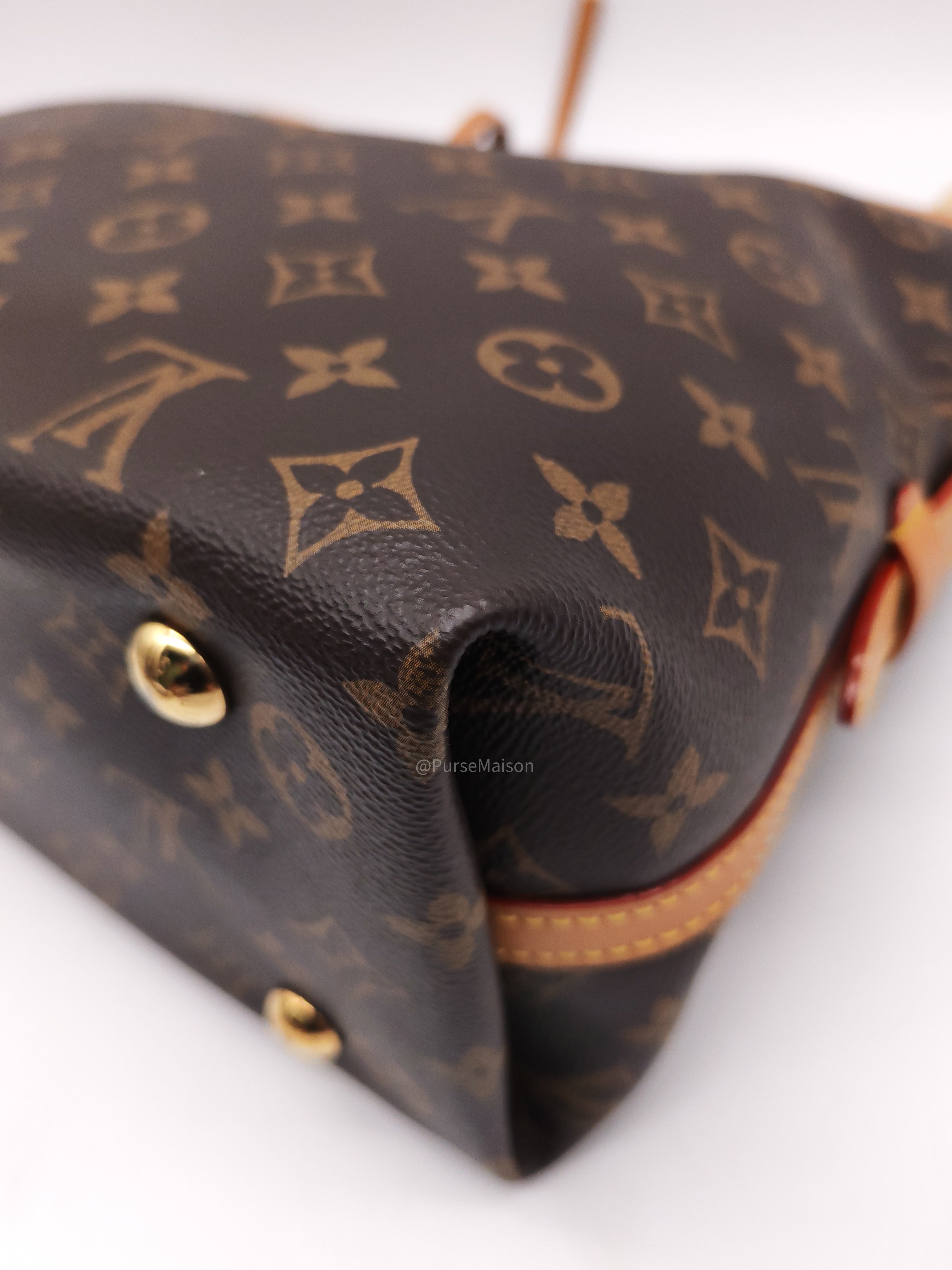 Louis Vuitton Carry All PM in Monogram Canvas and Gold Hardware Mircochip
