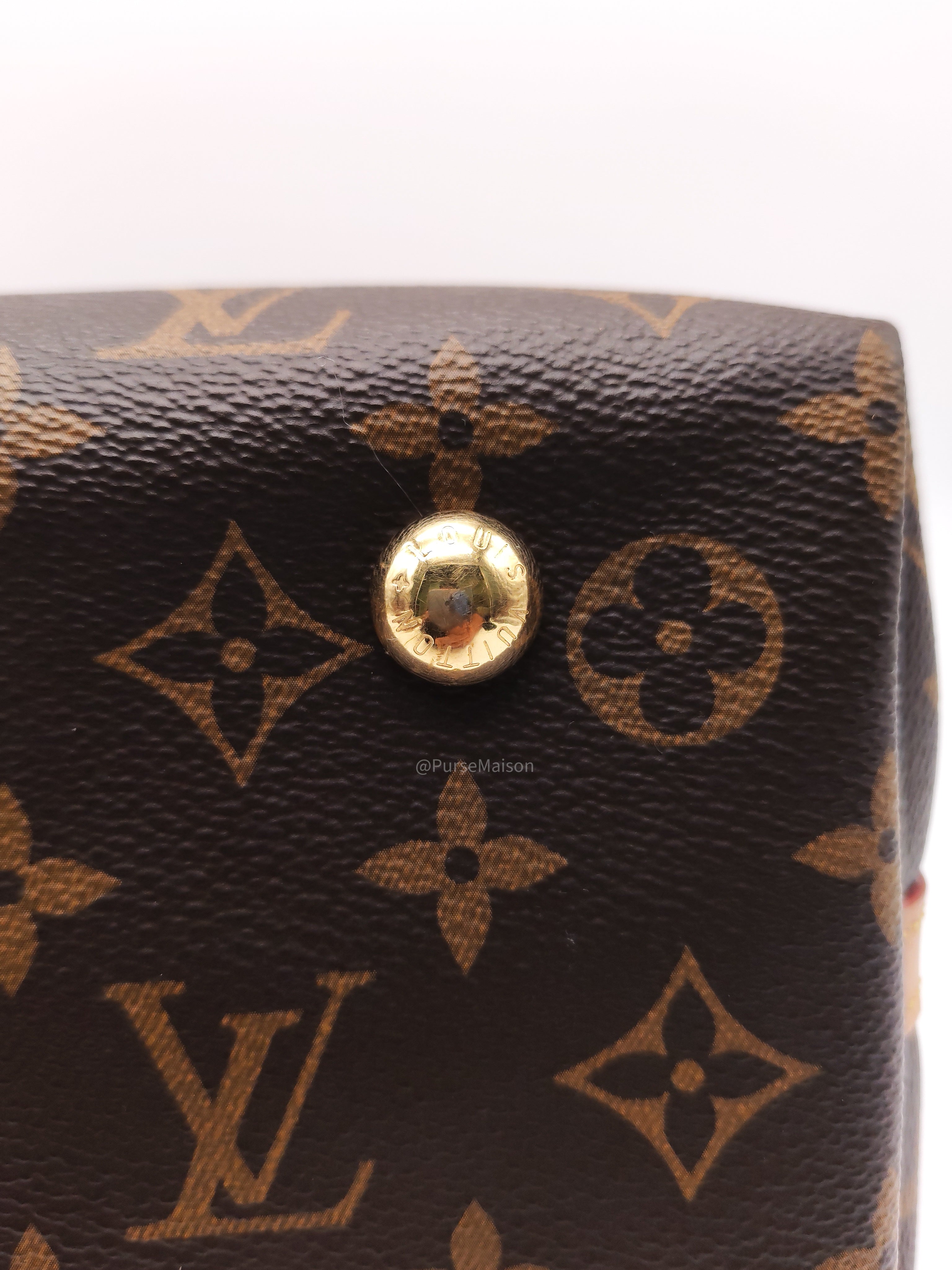 Louis Vuitton Carry All PM in Monogram Canvas and Gold Hardware Mircochip