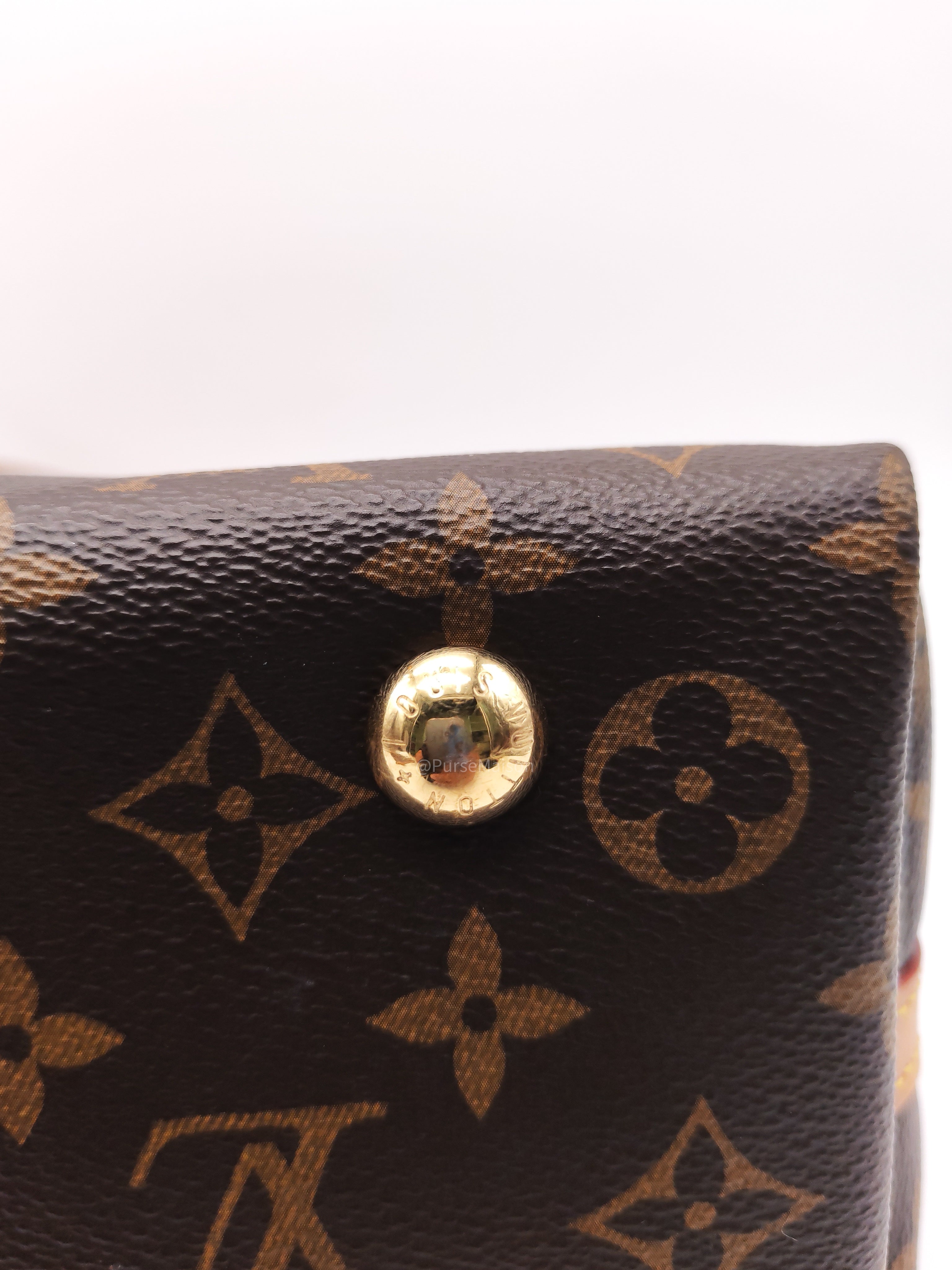 Louis Vuitton Carry All PM in Monogram Canvas and Gold Hardware Mircochip